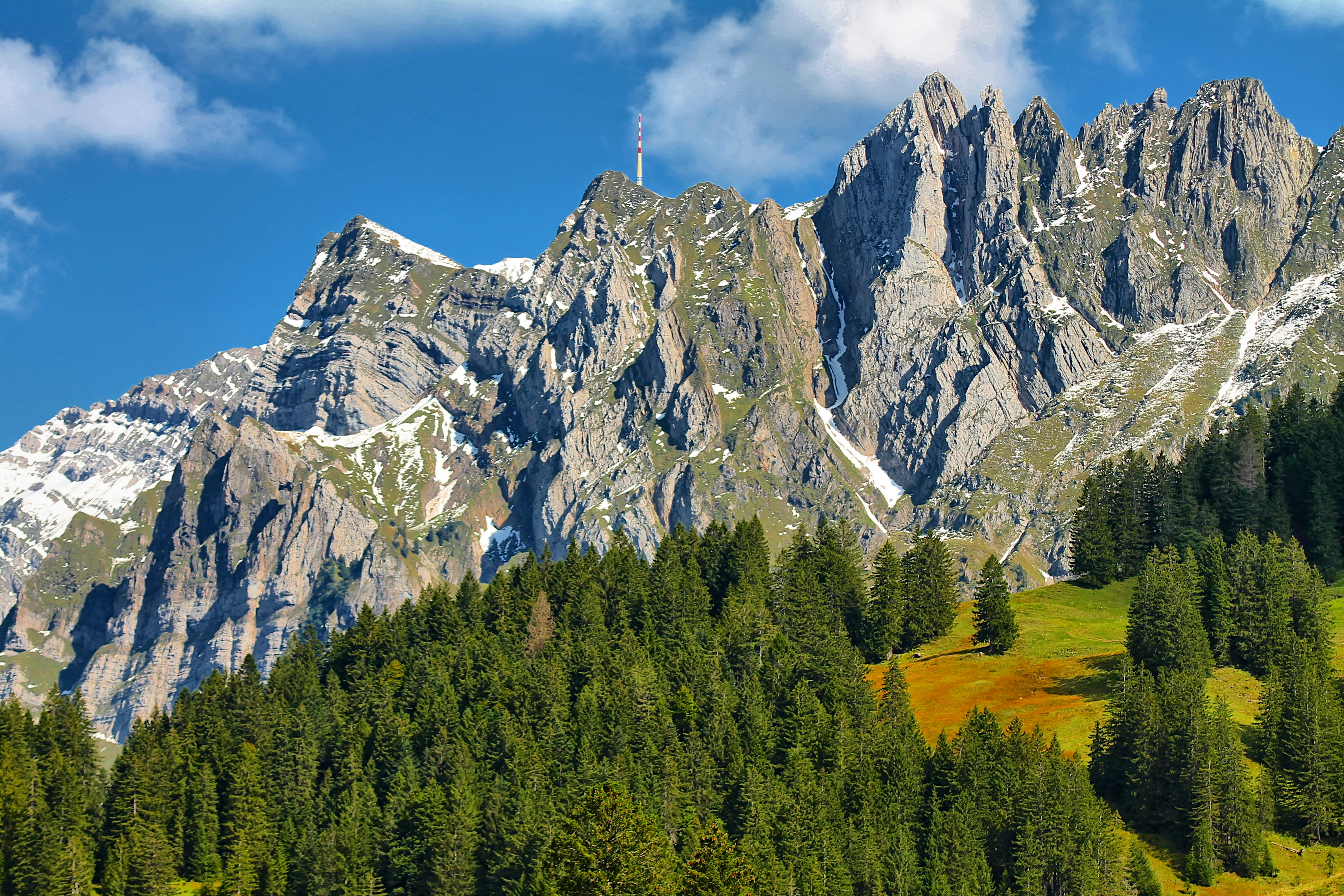 A view of a mountain range with trees in the foreground