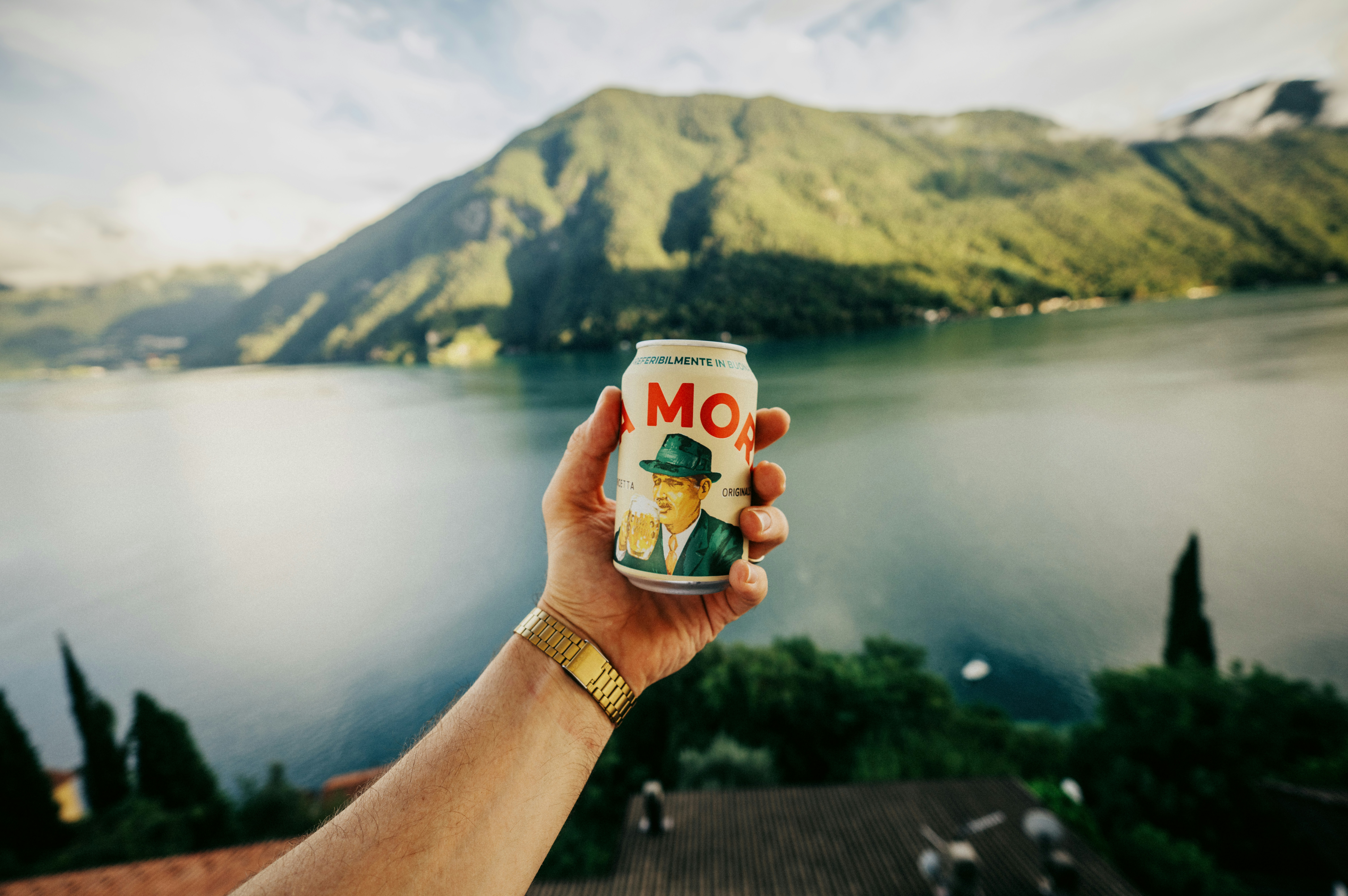 오븐과 전자레인지의 차이점에 대한 모든 것