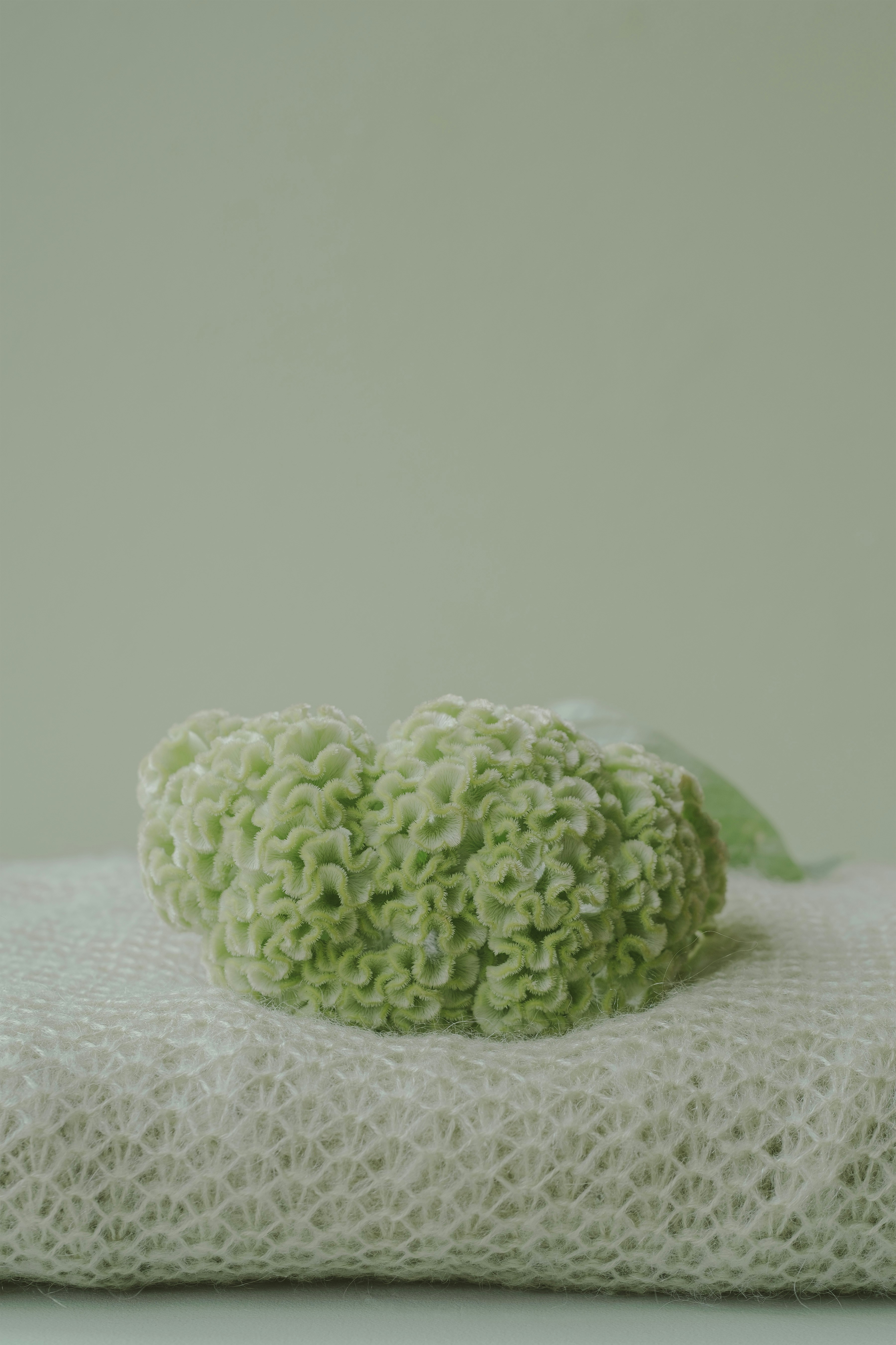 Photo by 360floralflaves