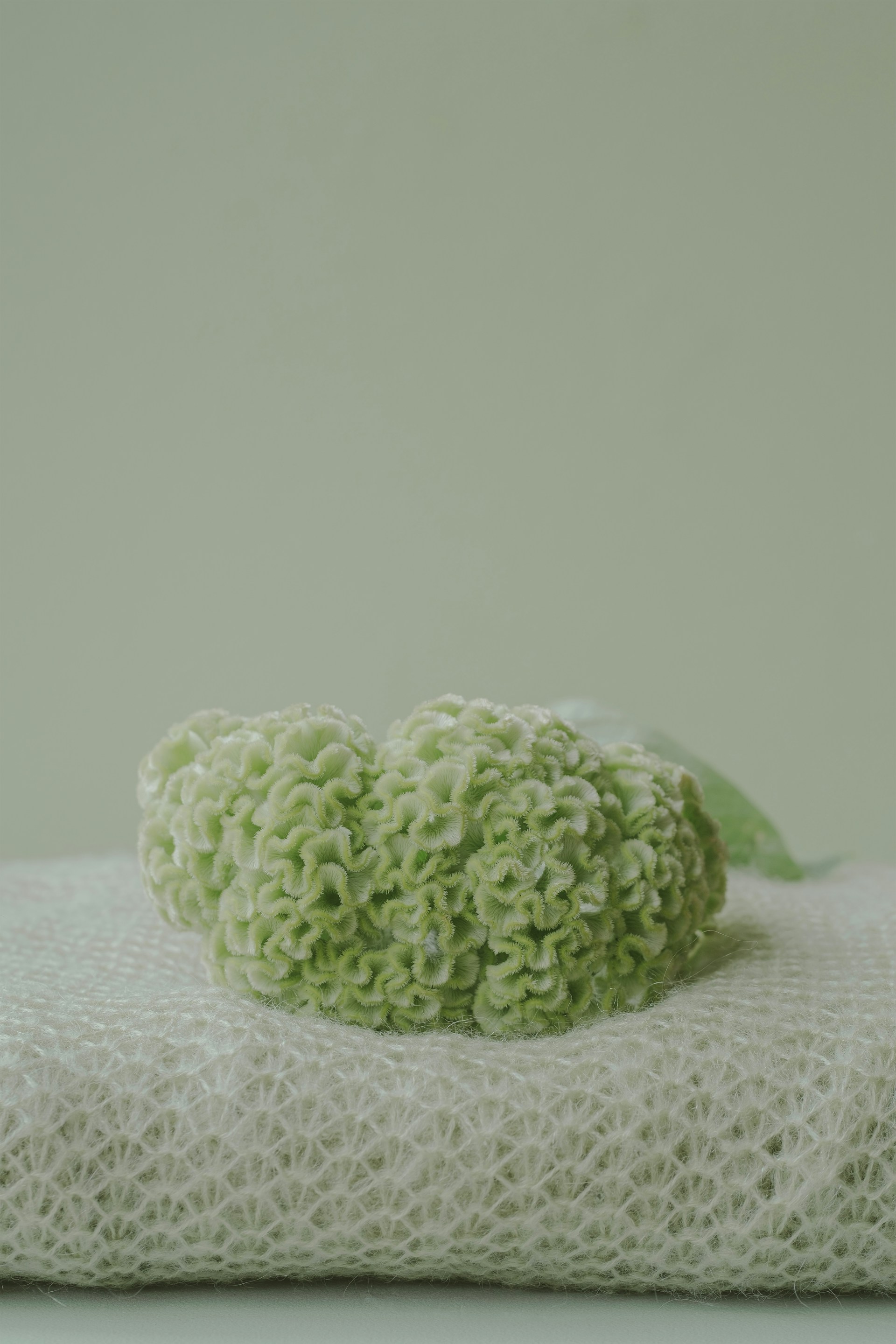 A white towel with a green flower on top of it