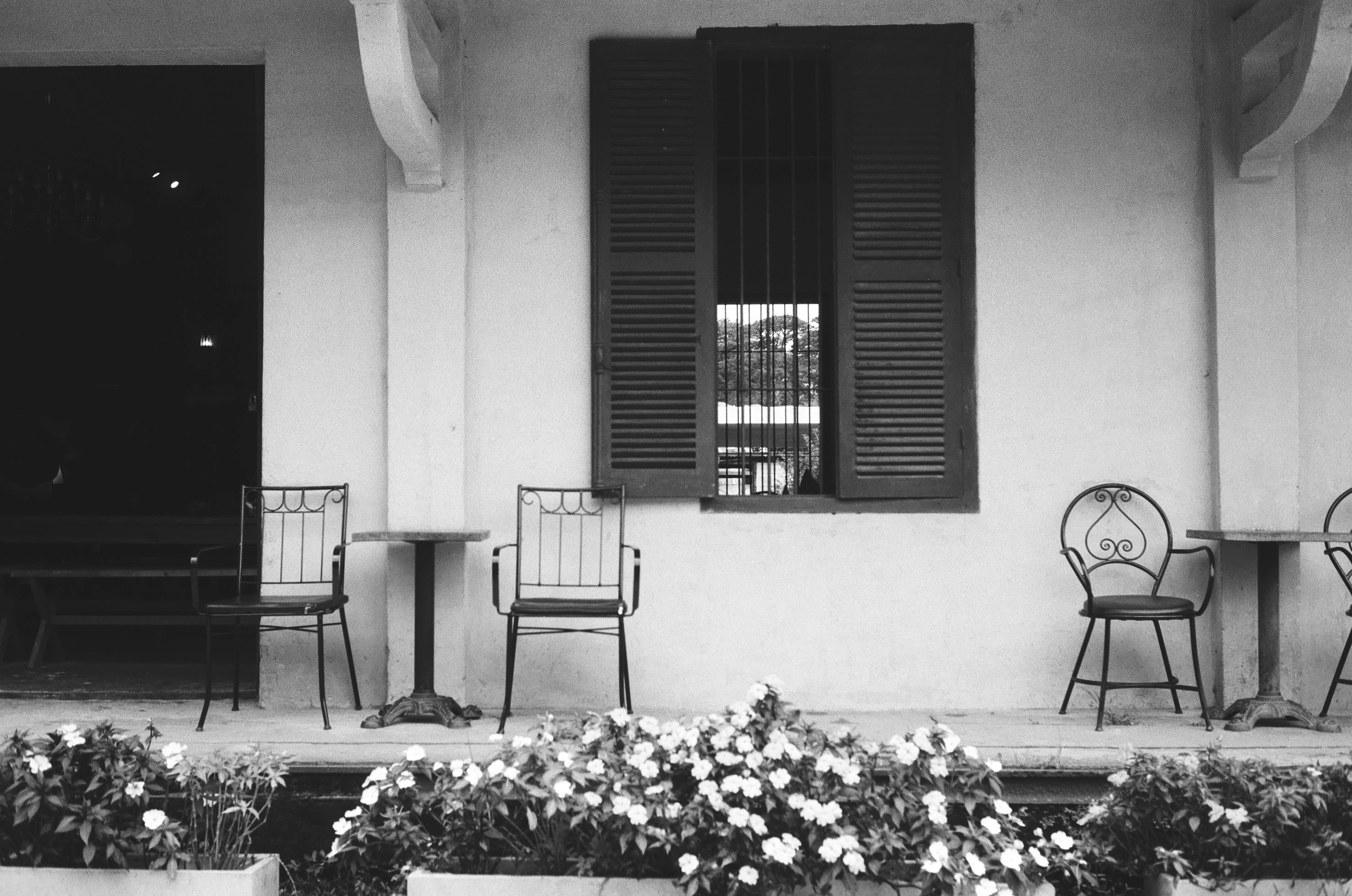 Photo by donguyenkhanhs