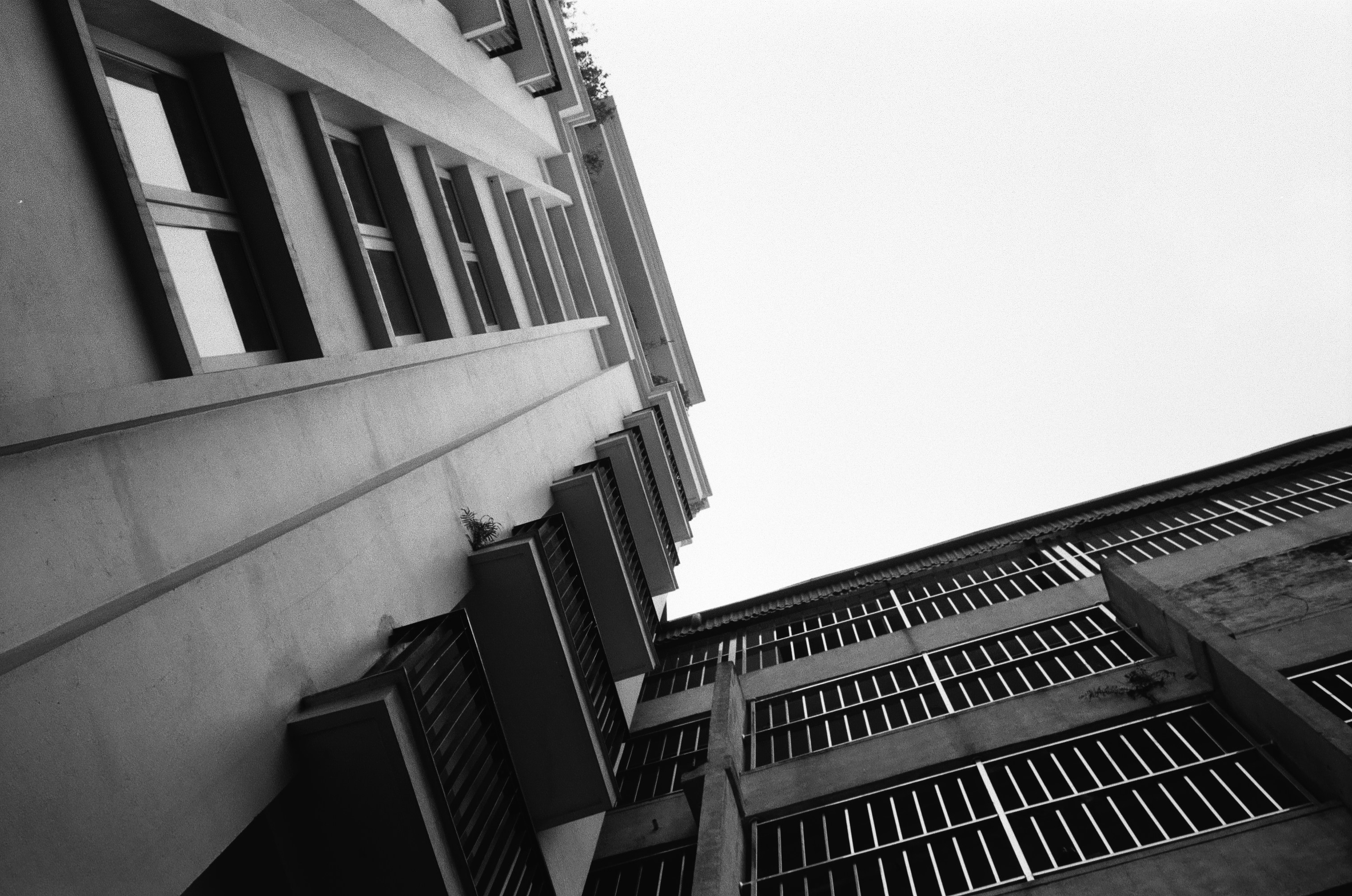 Photo by donguyenkhanhs