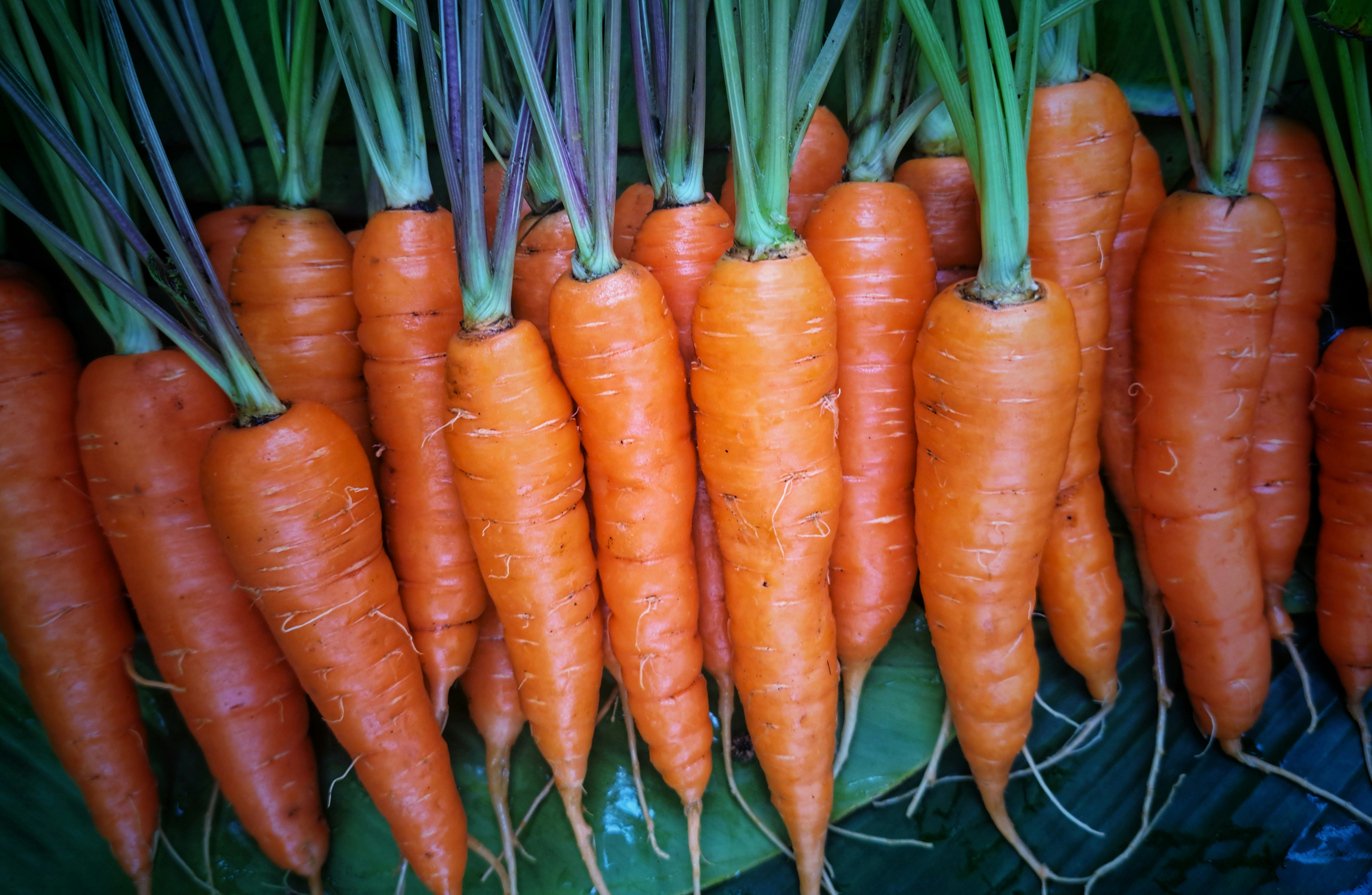 Business Process Services