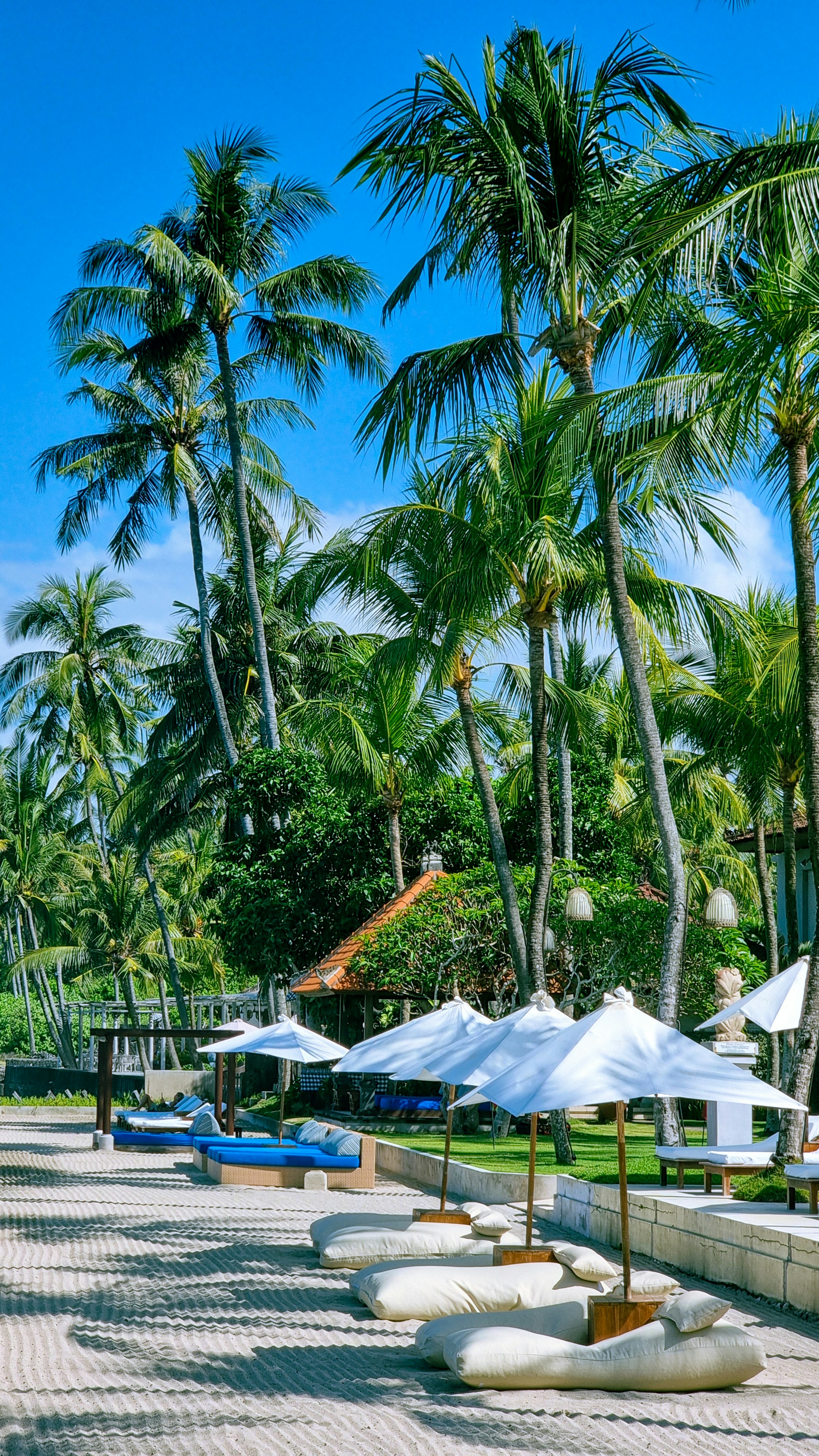 Unwind and Recharge: The Essential Role of Rest and Relaxation This Summer