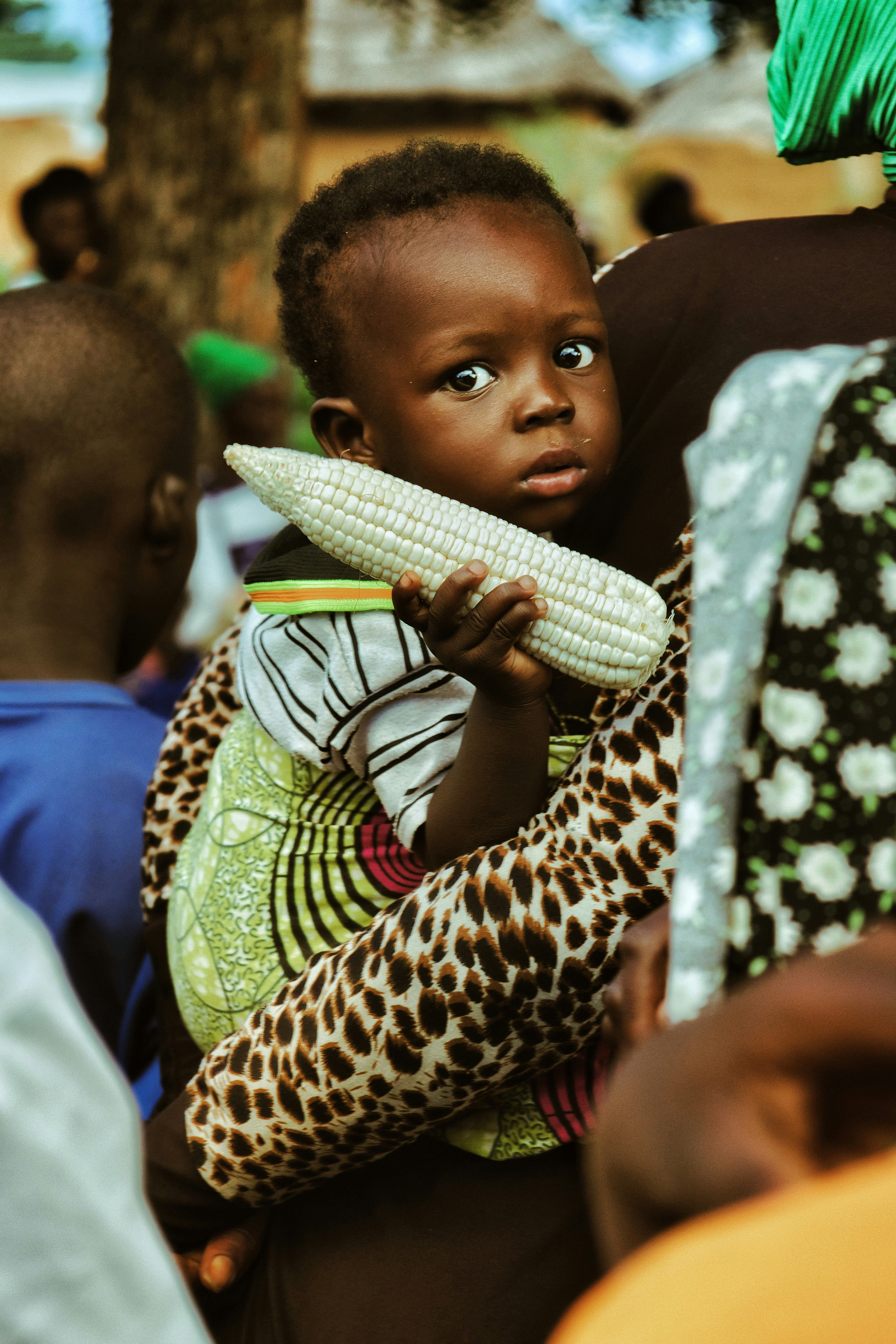 Photo by ozzzyphotos