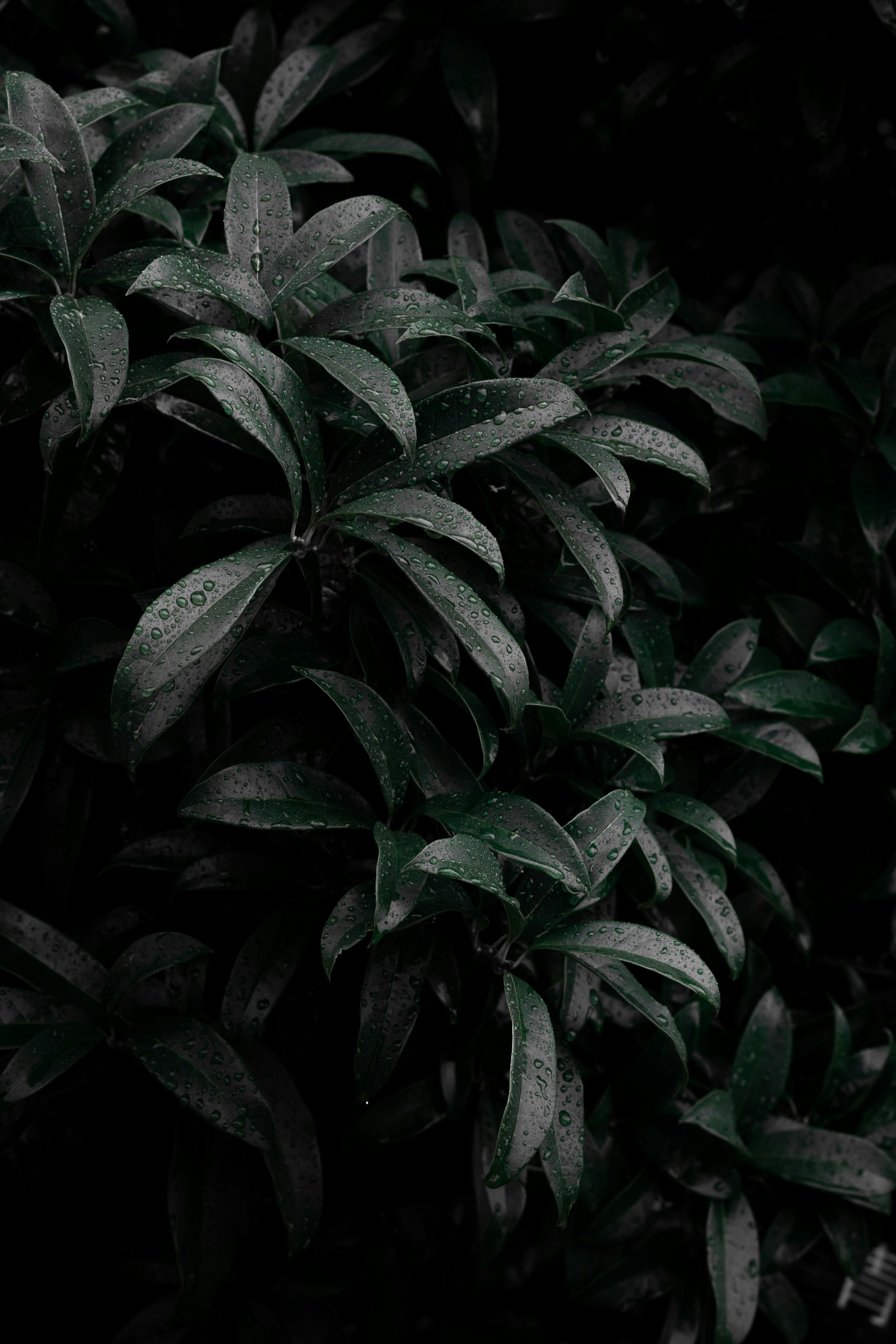 Photo by guheihei2333