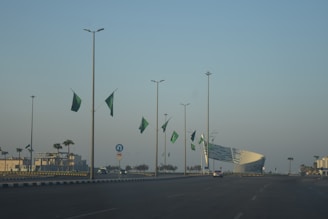 A view of a street with a lot of green flags