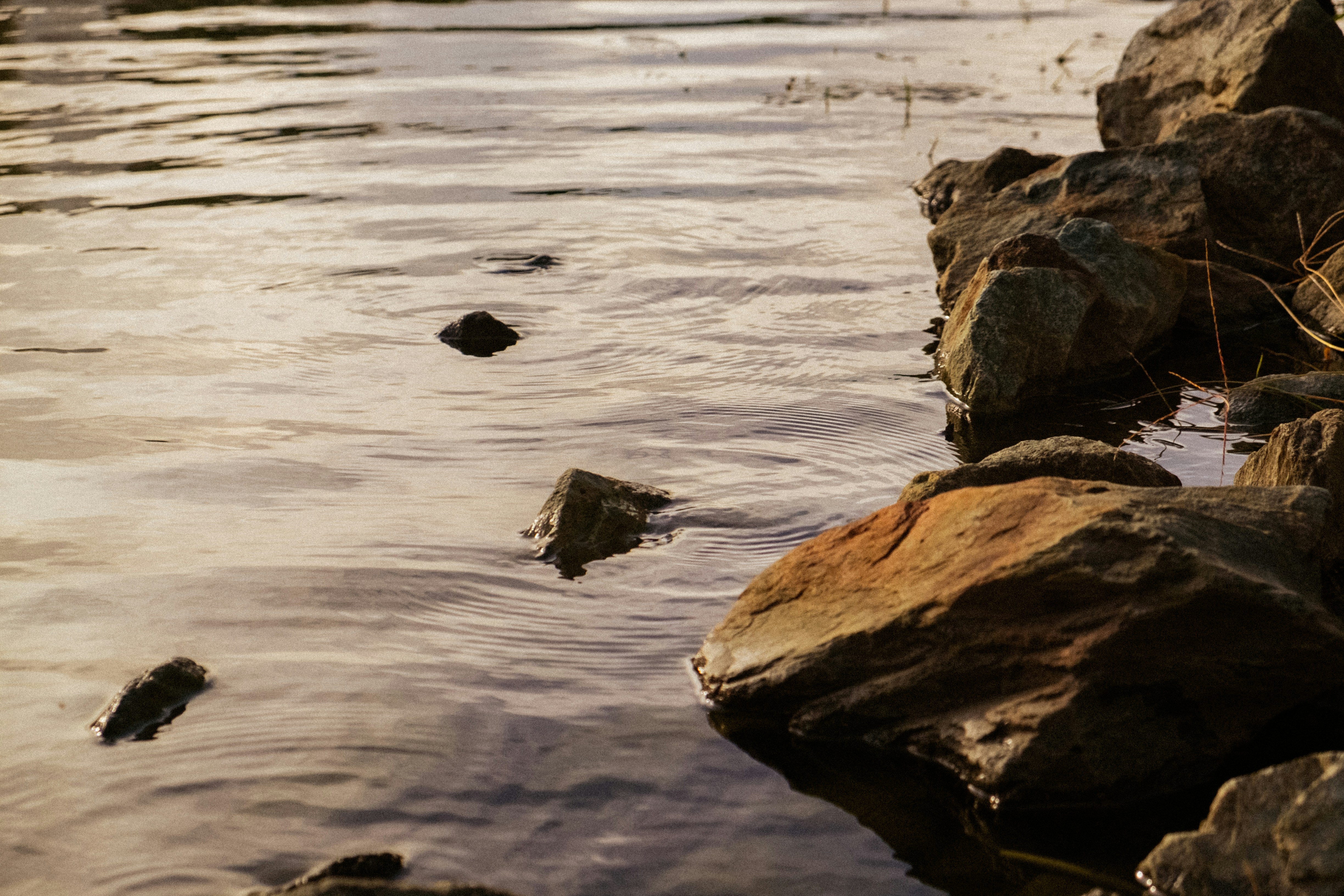 Photo by fruitfullmedia