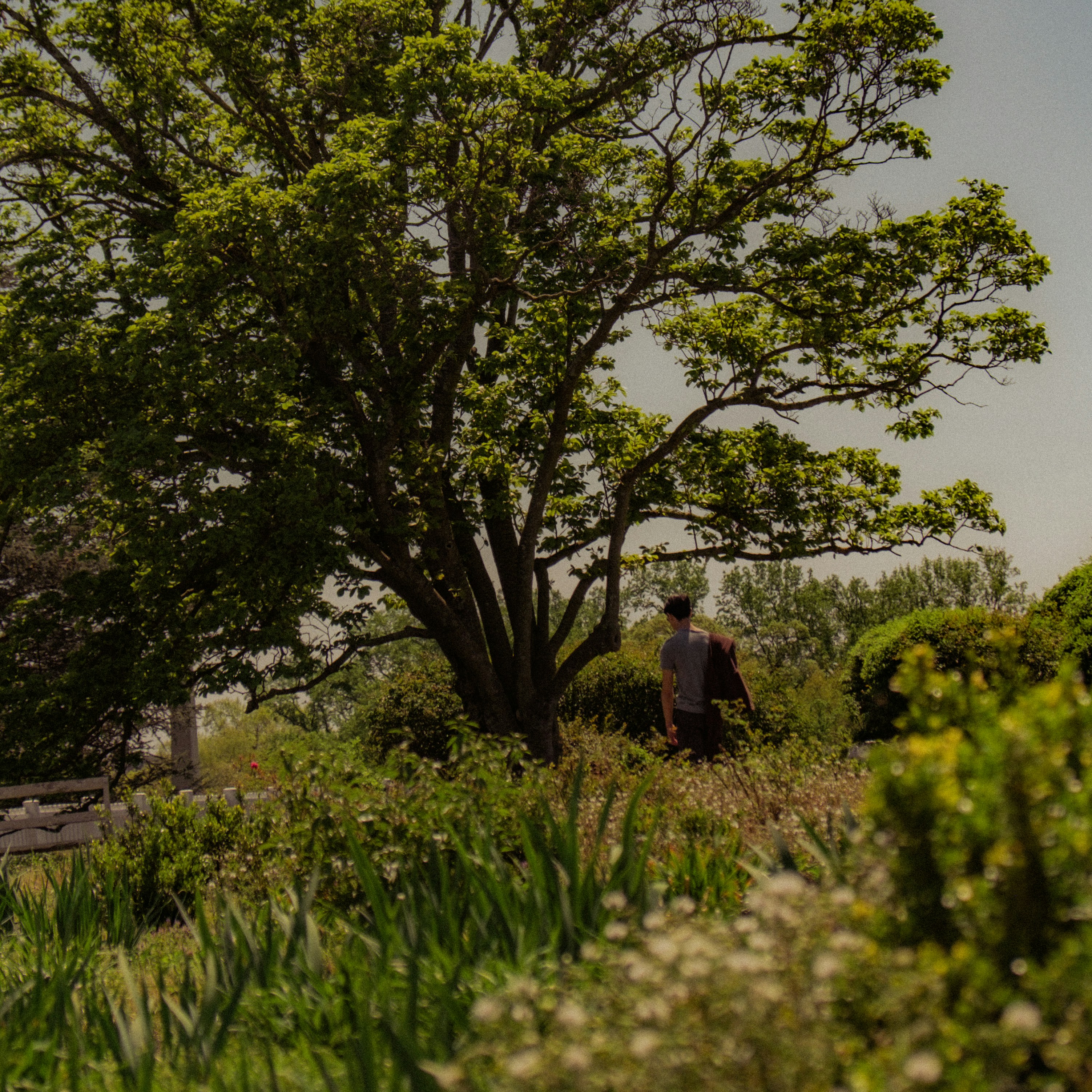 Photo by fruitfullmedia