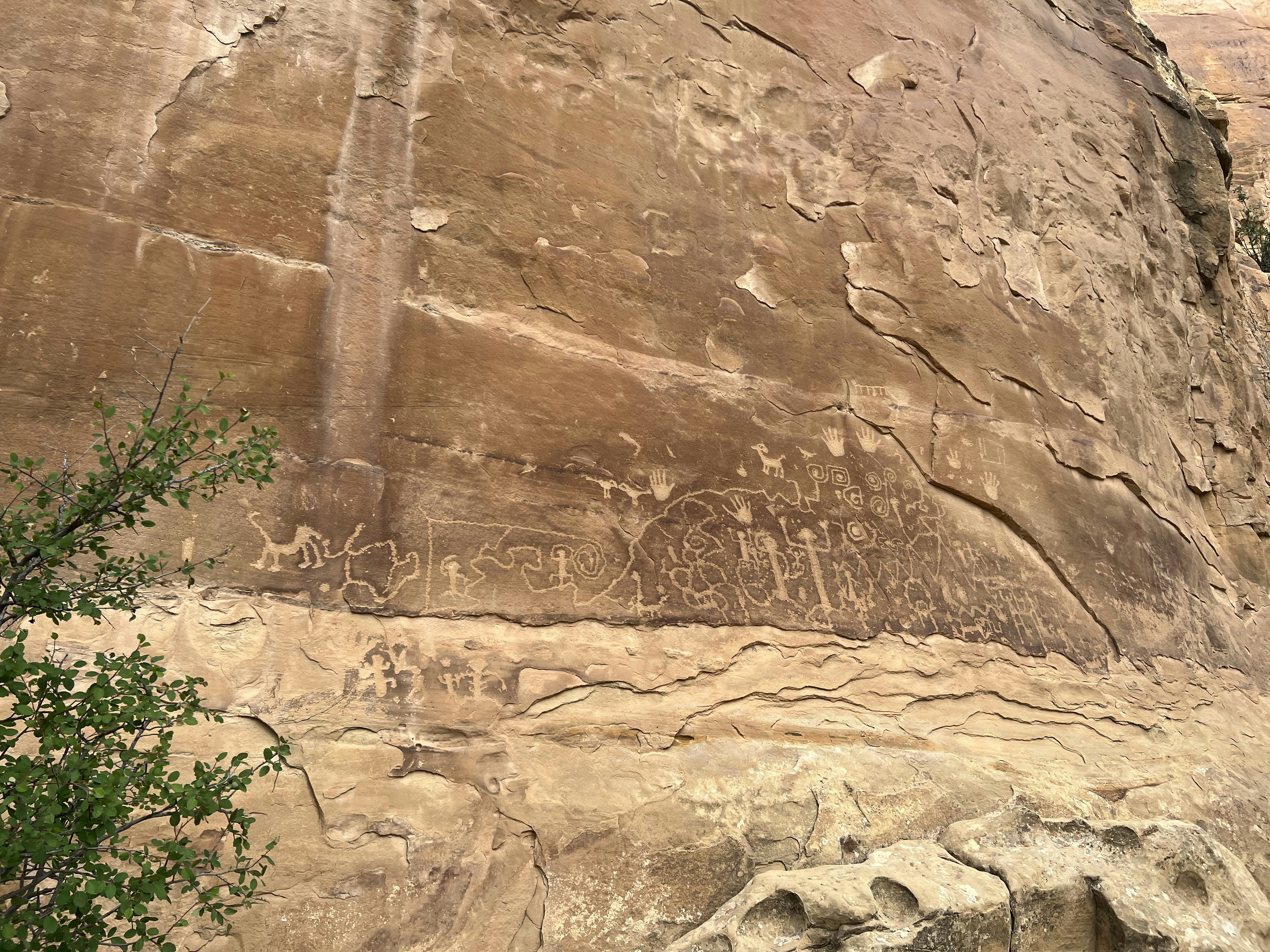 Ancient bushman rock paintings on sandstone cliff face in the Namib desert