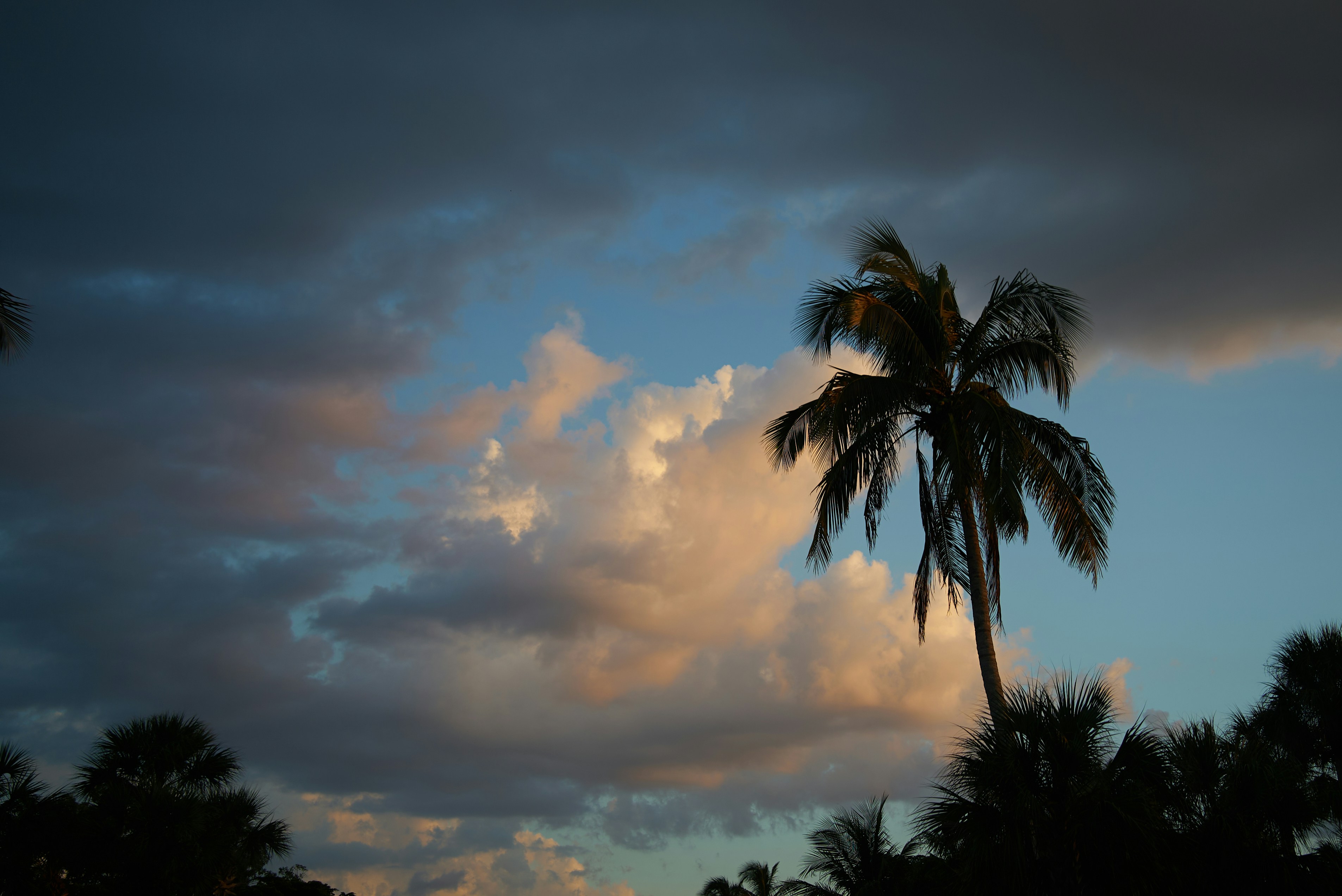 Photo by norajanelong