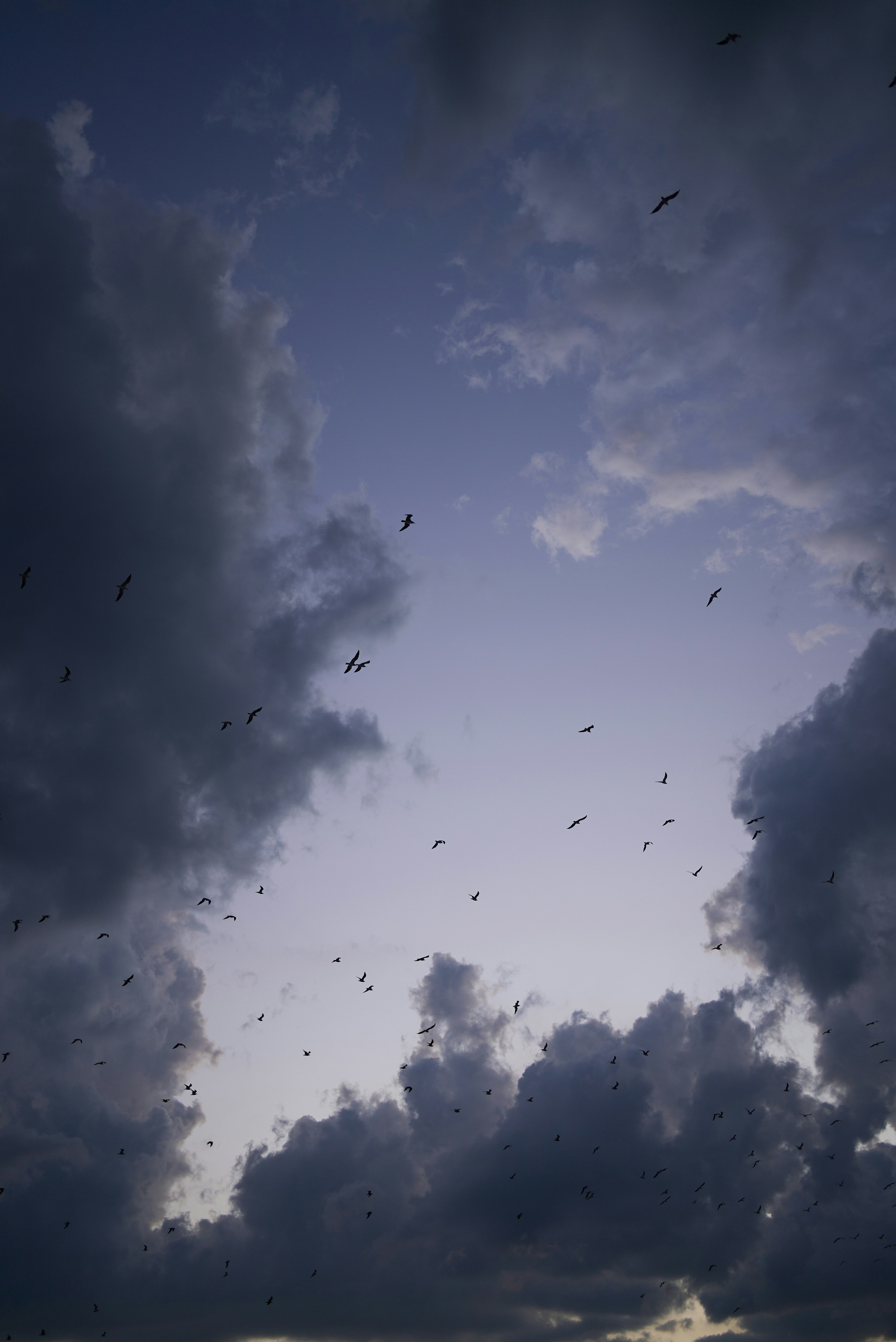 Photo by norajanelong