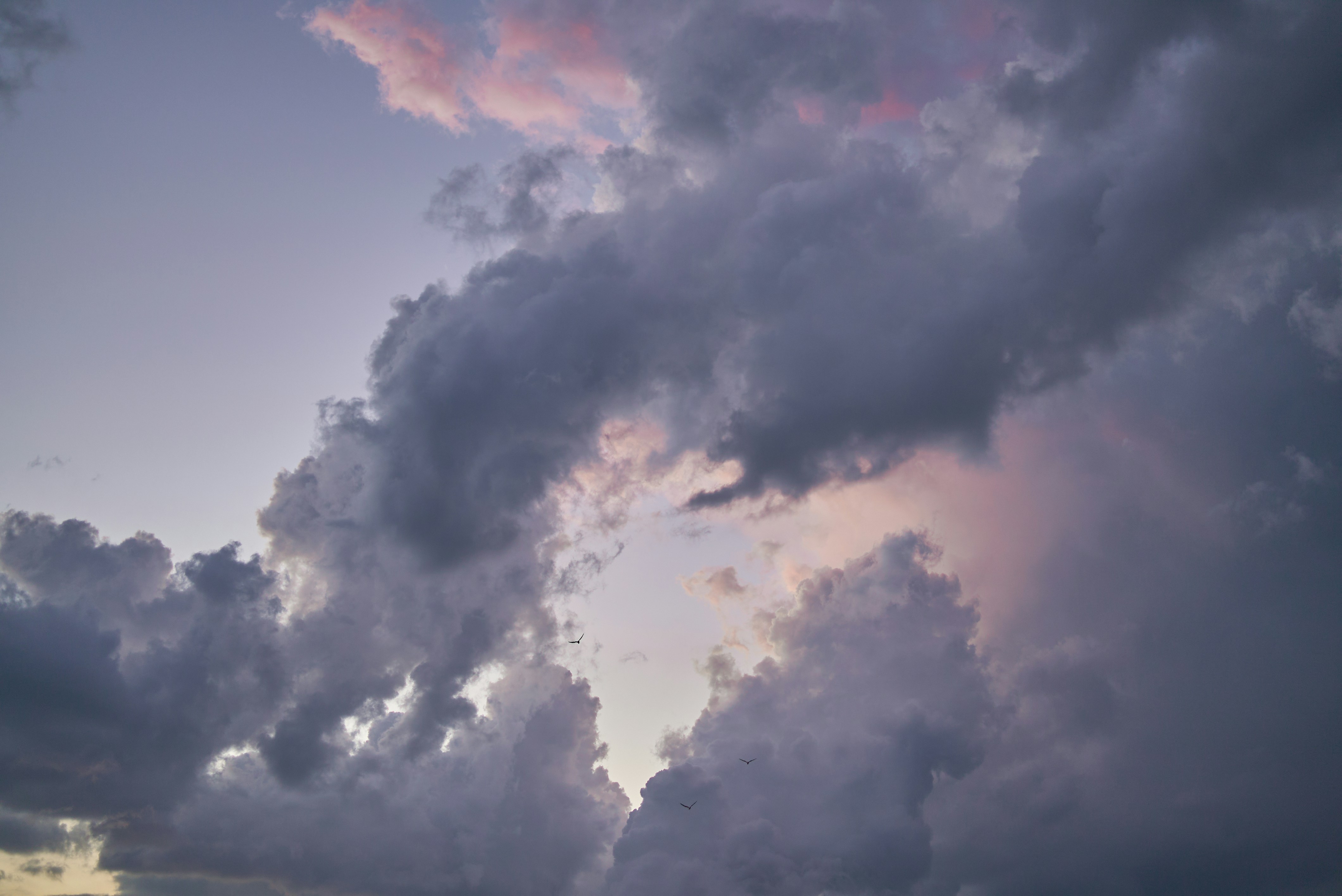 Photo by norajanelong