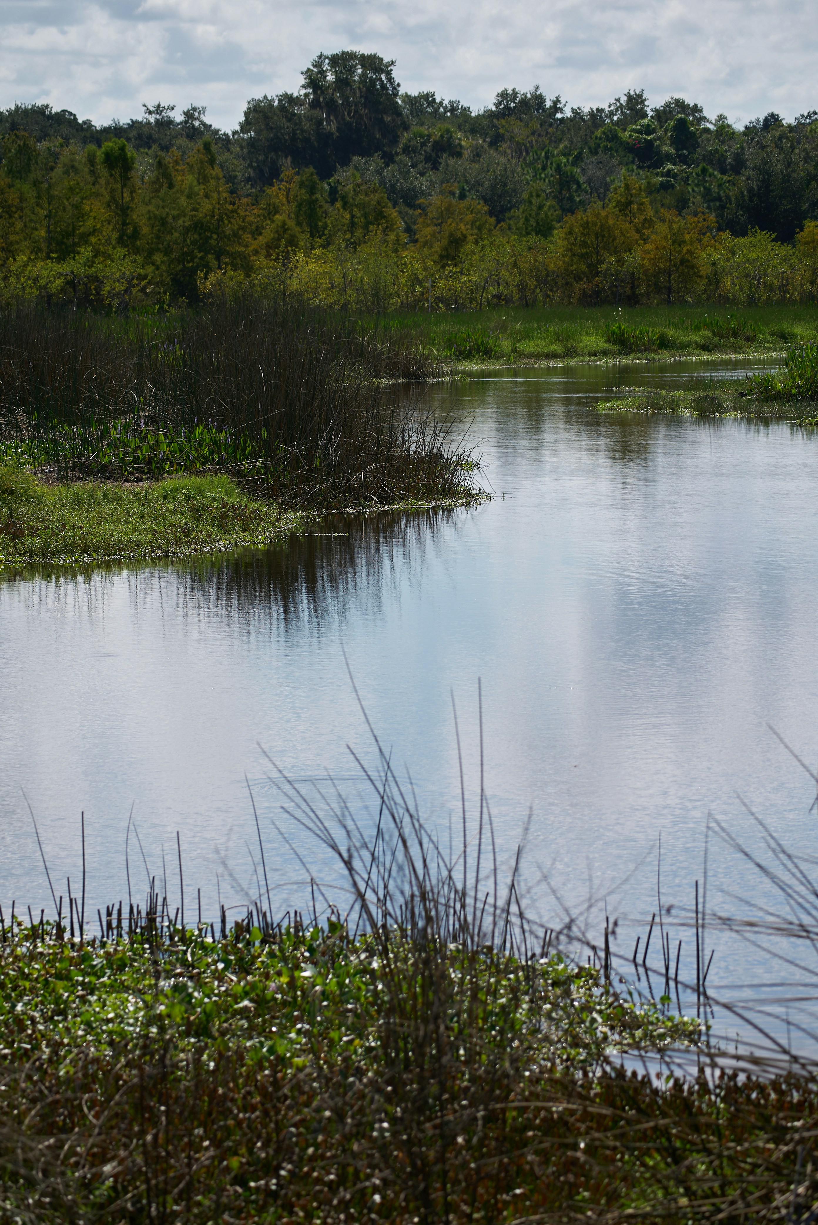 Photo by norajanelong