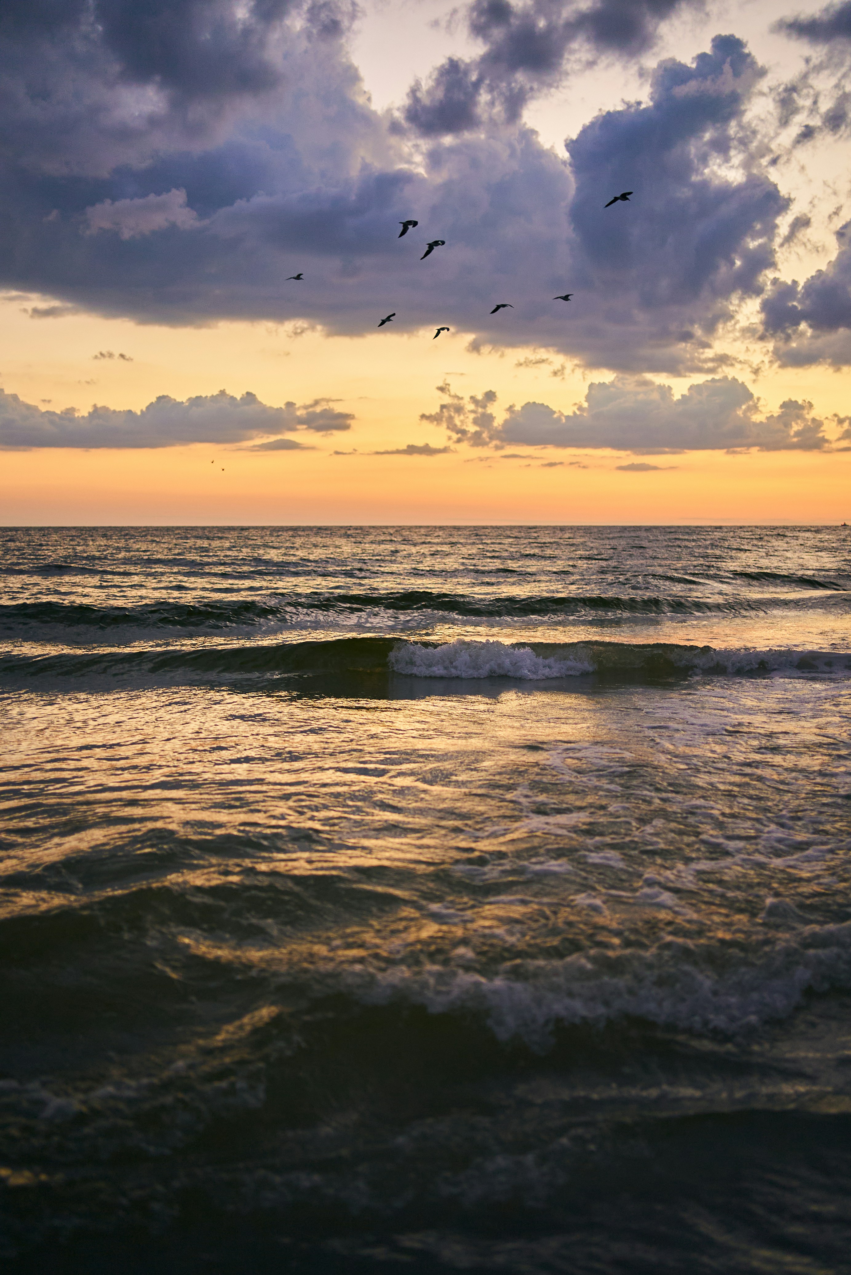 A sunset over the ocean with birds flying in the sky