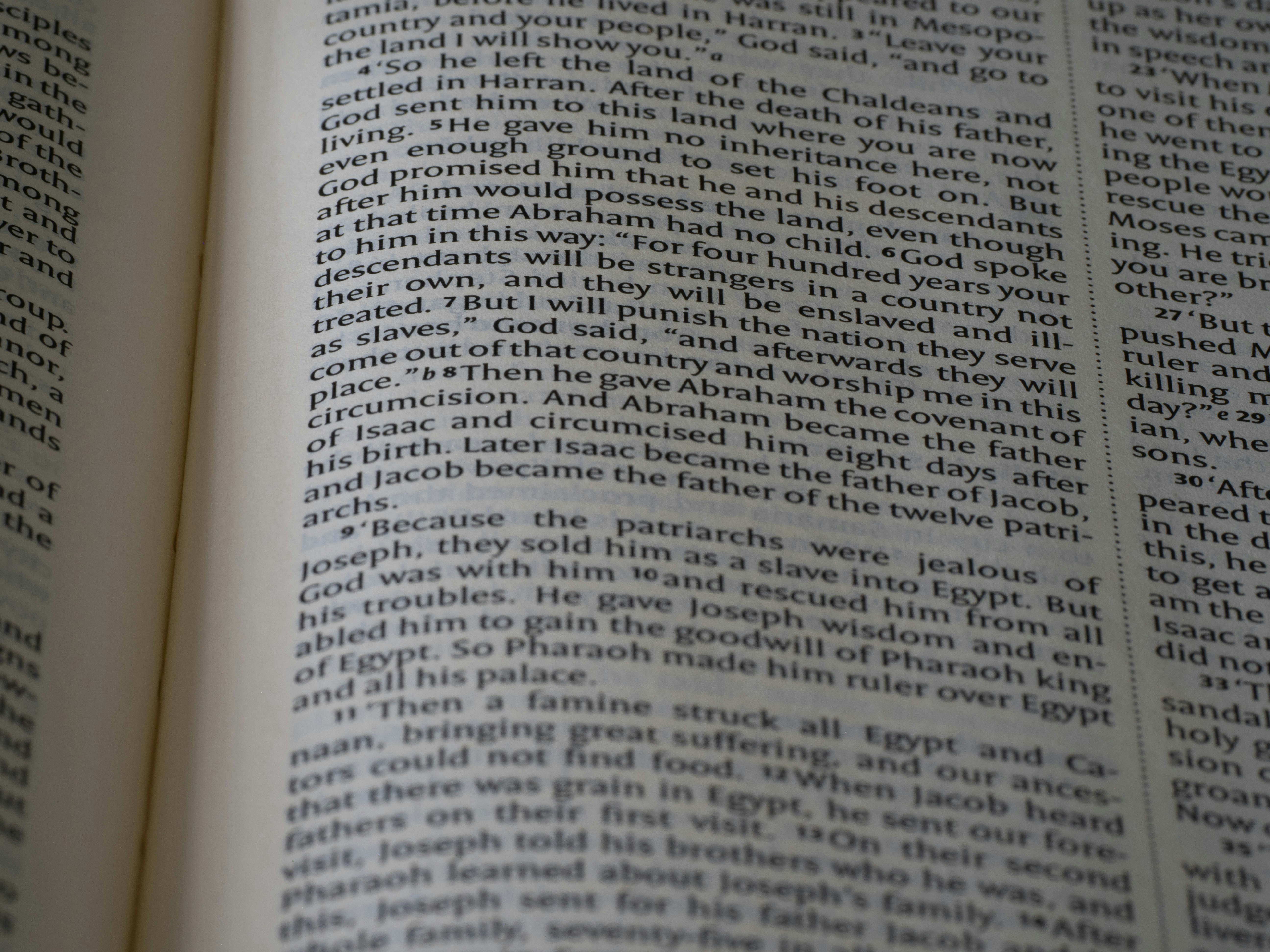 Photo by brett_jordan