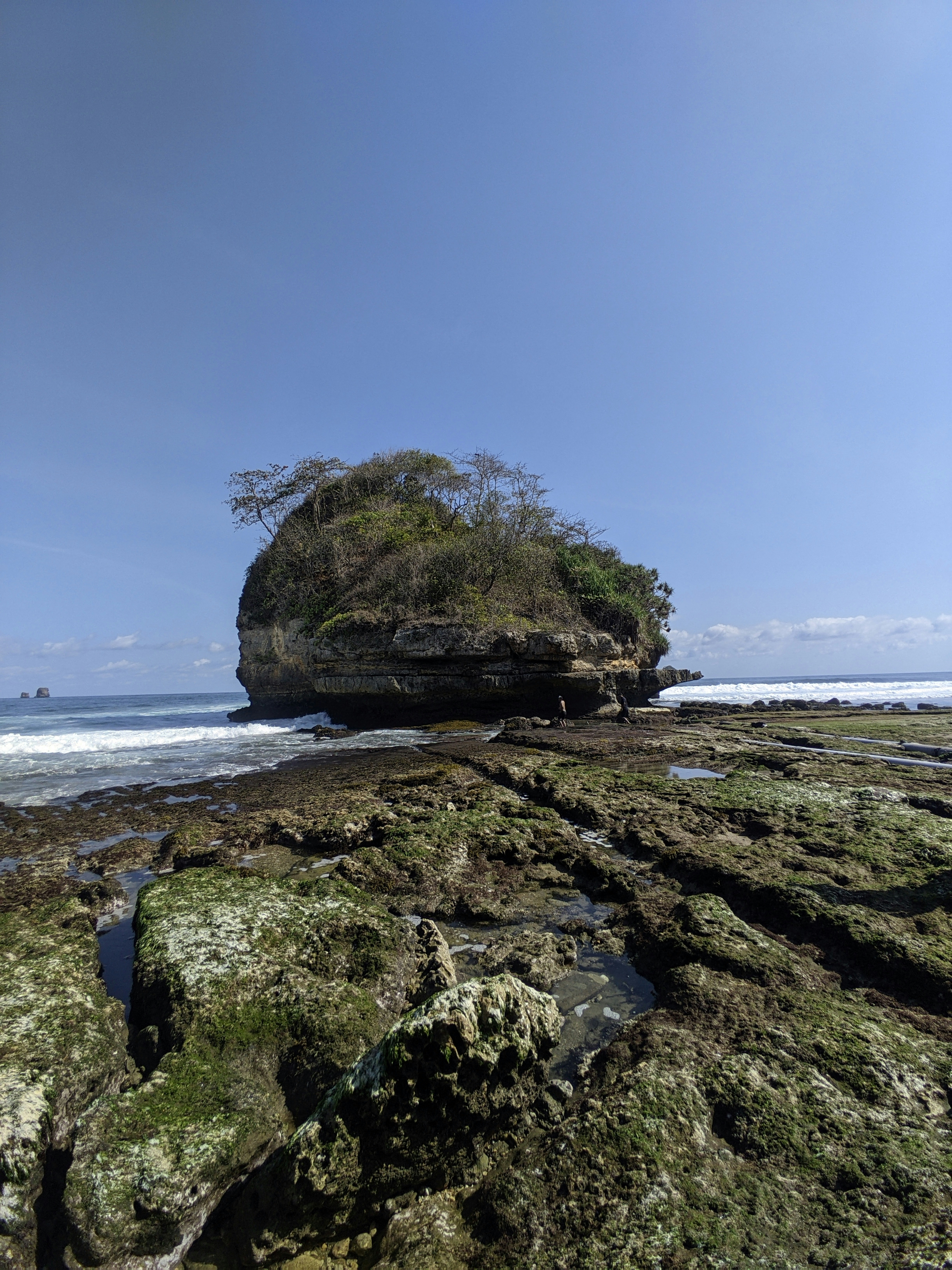 java coastal landscape, wallpaper, Perang Tuban: Sejarah Konflik dan Kerajaan Islam 4