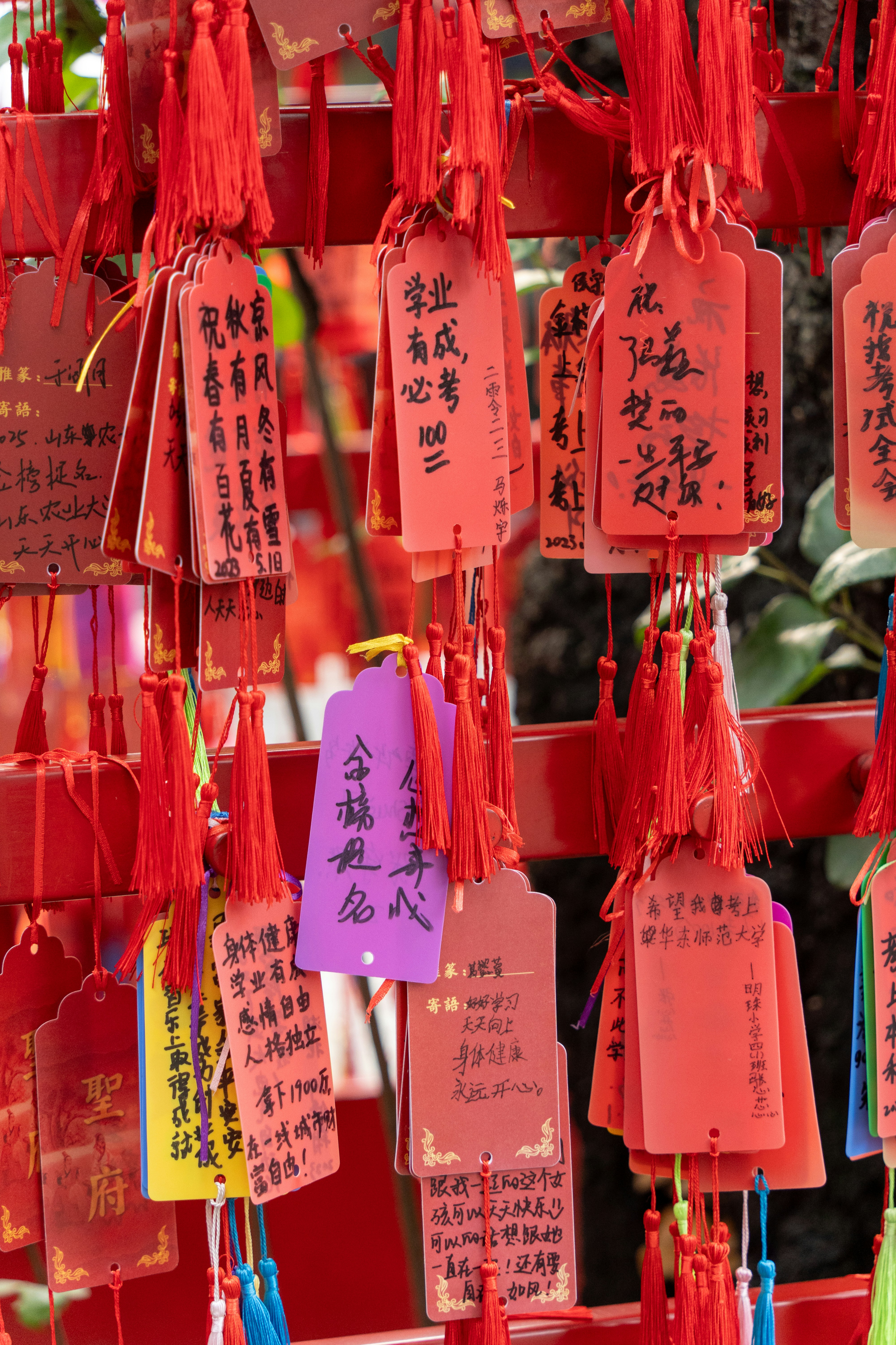 A bunch of red tags hanging from a tree
