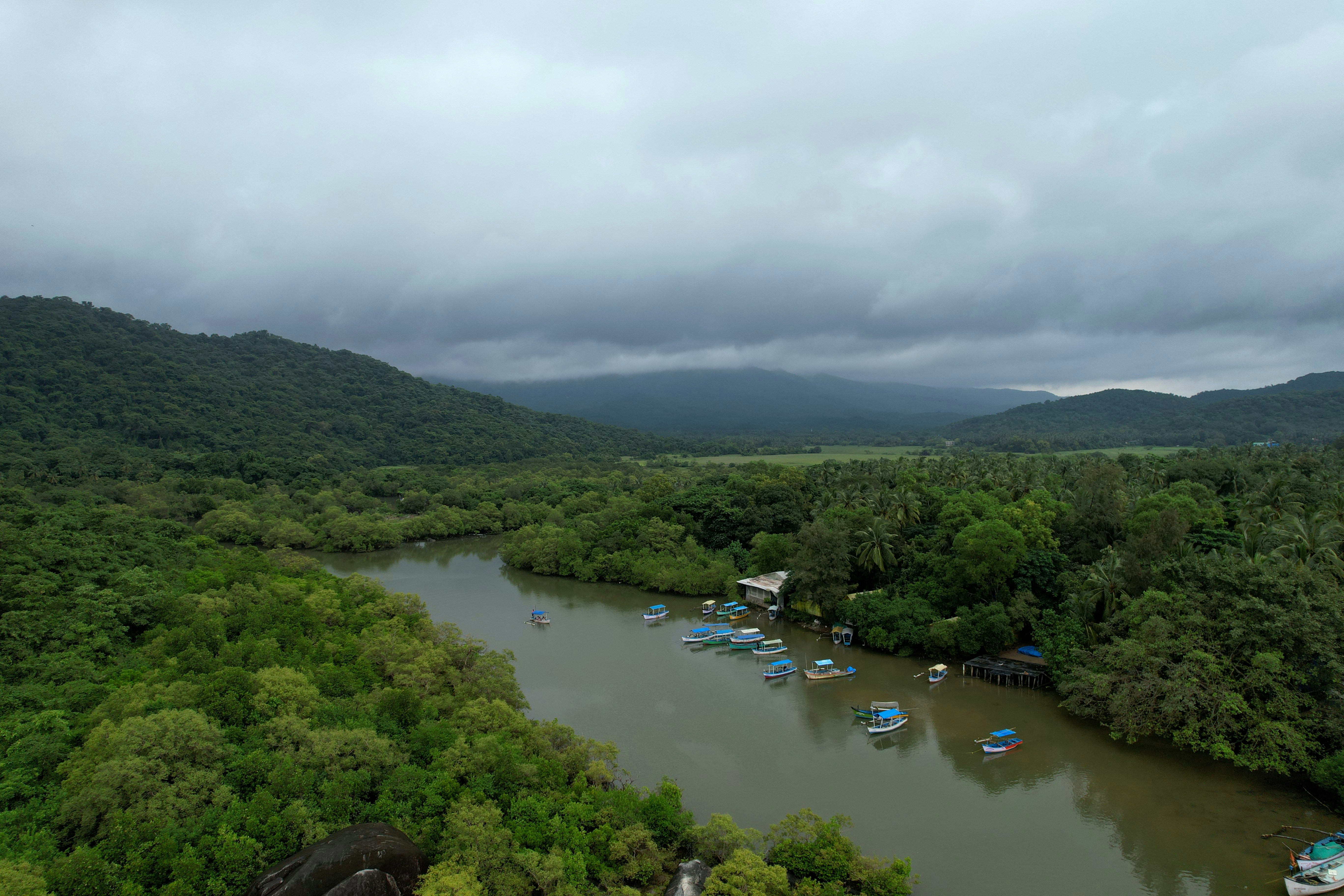 A river surrounded by lush green trees under a cloudy sky