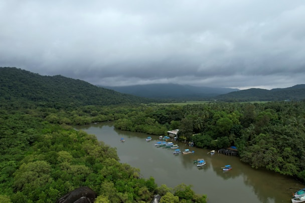A river surrounded by lush green trees under a cloudy sky