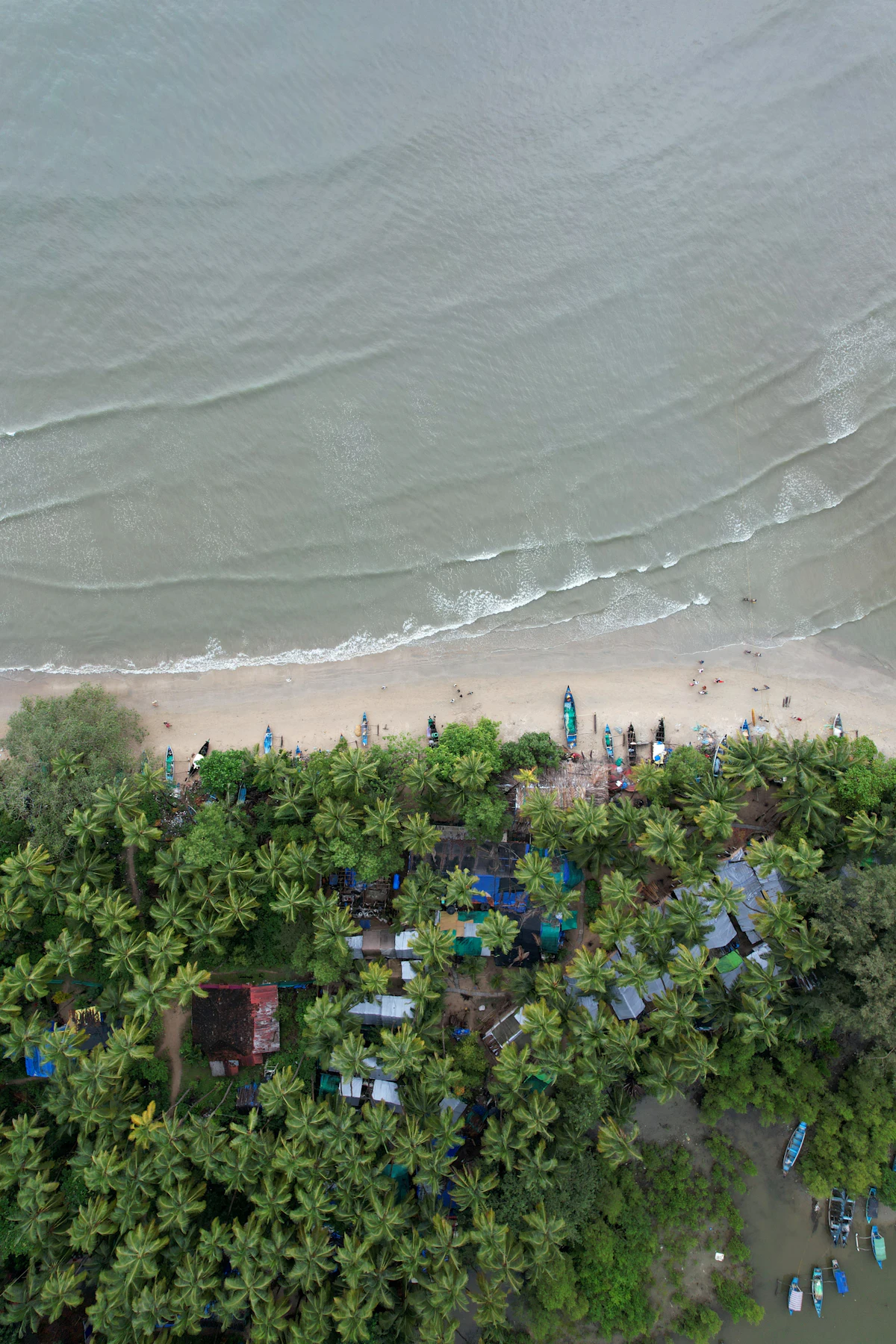 Palolem beach crescent bay with palms in South Goa