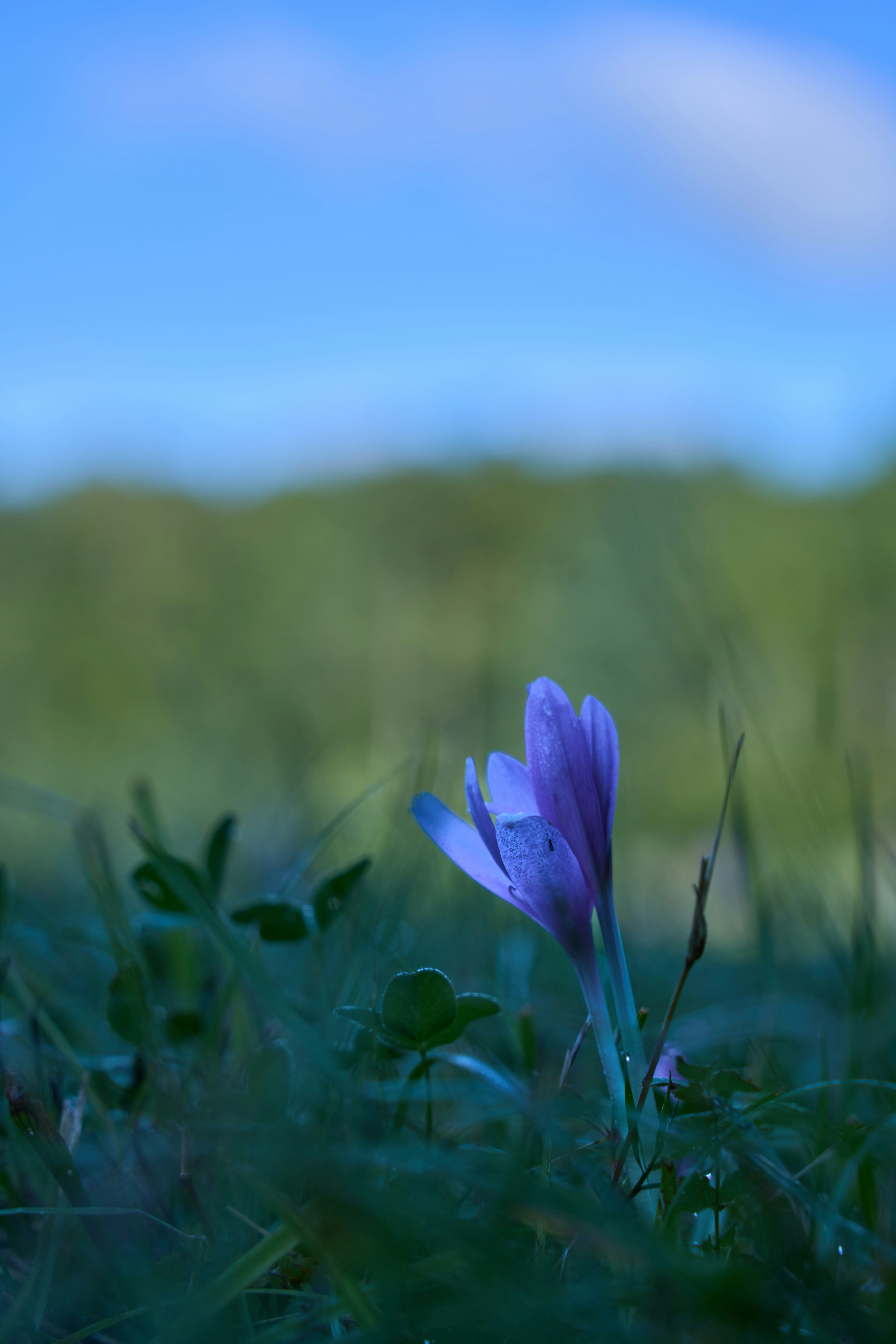 Photo by wolfgang_hasselmann