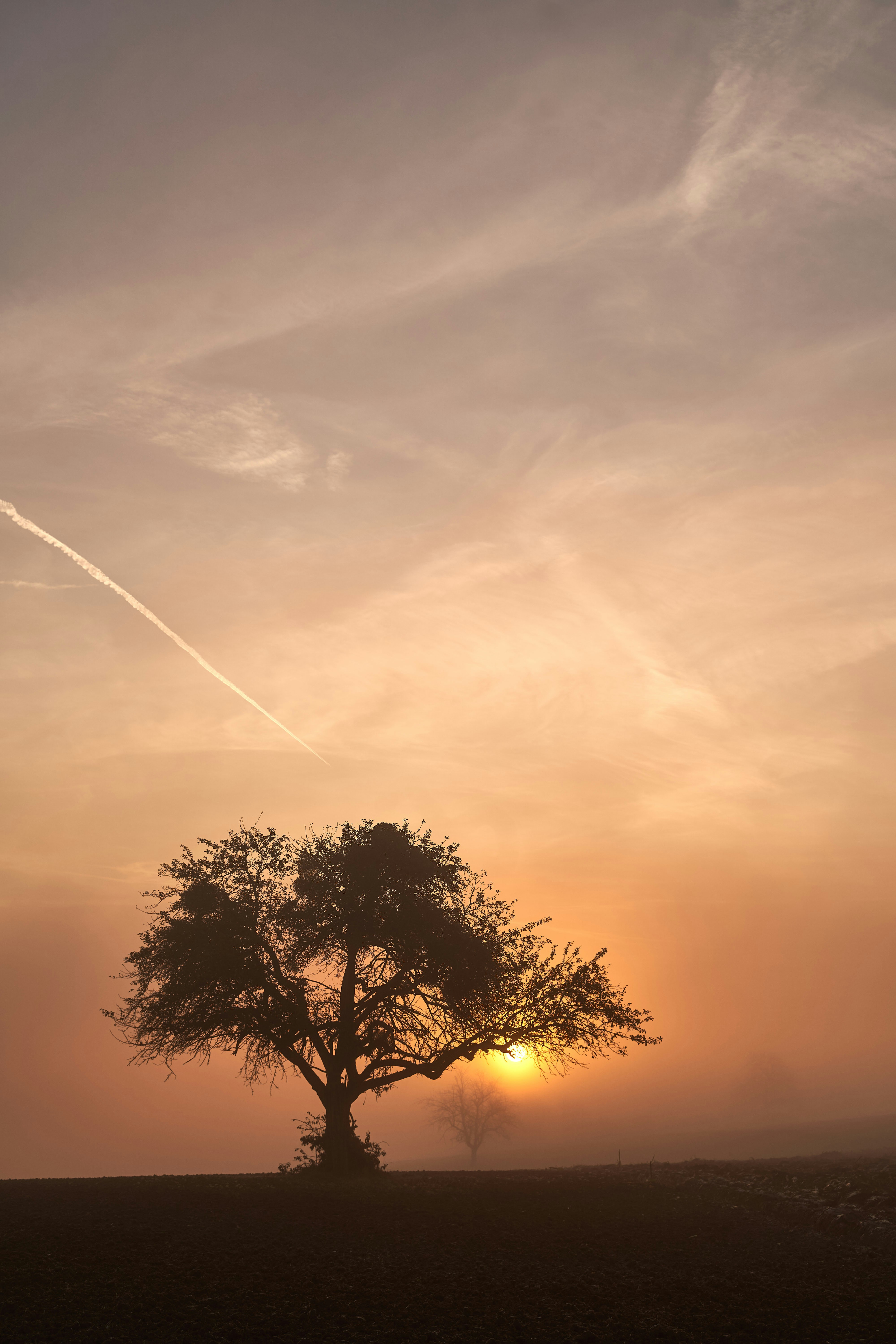 Photo by wolfgang_hasselmann