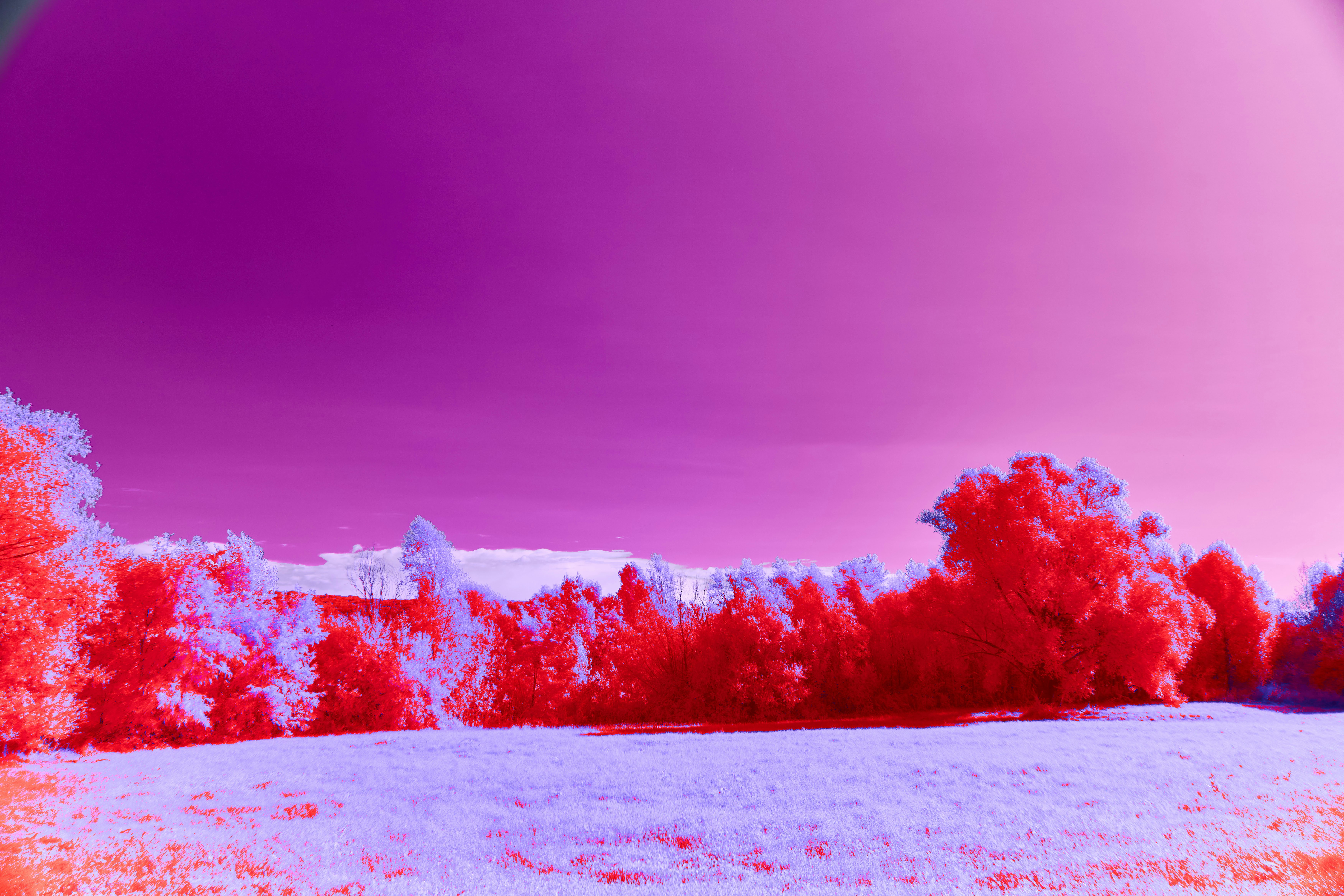 Photo by wolfgang_hasselmann