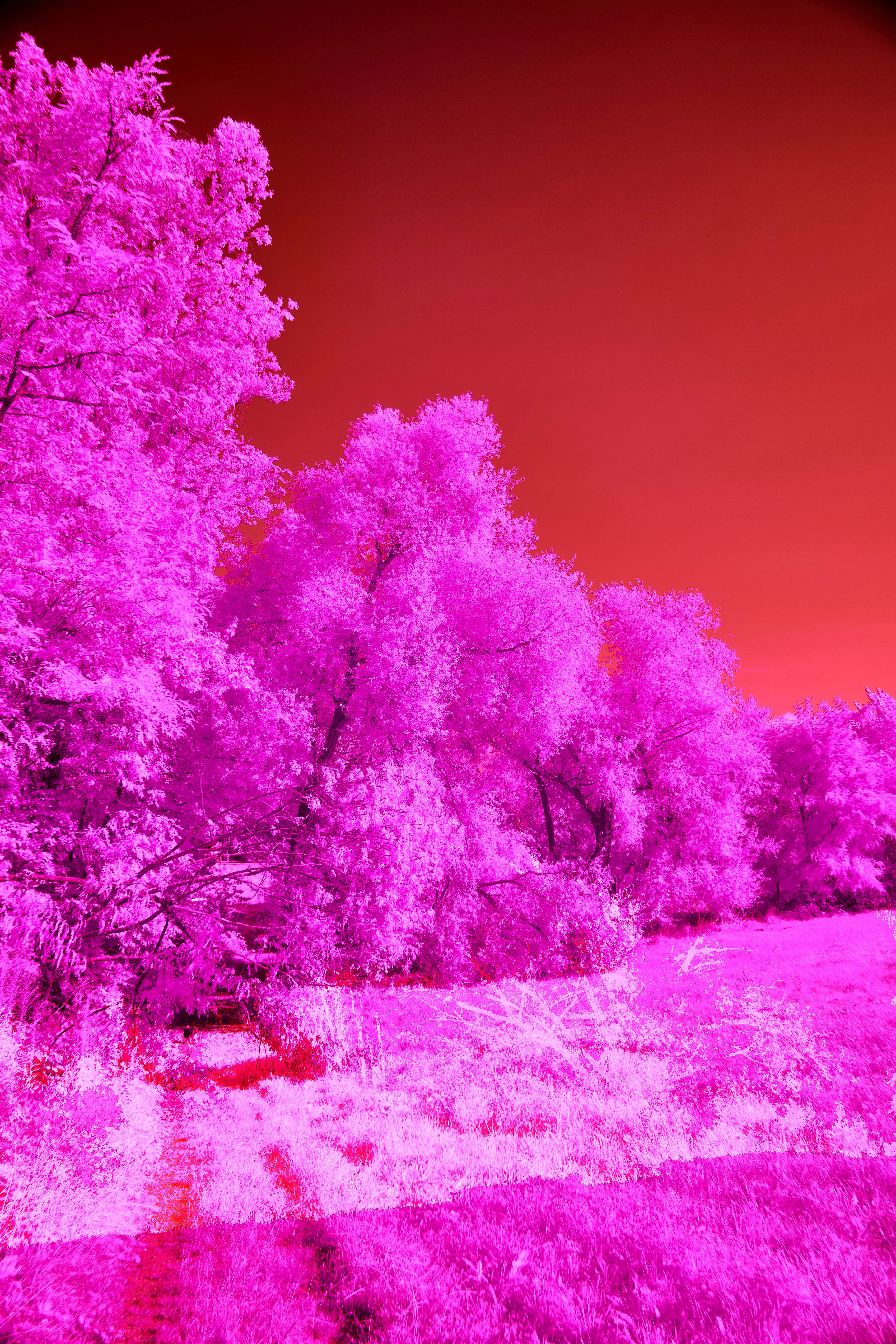 Photo by wolfgang_hasselmann