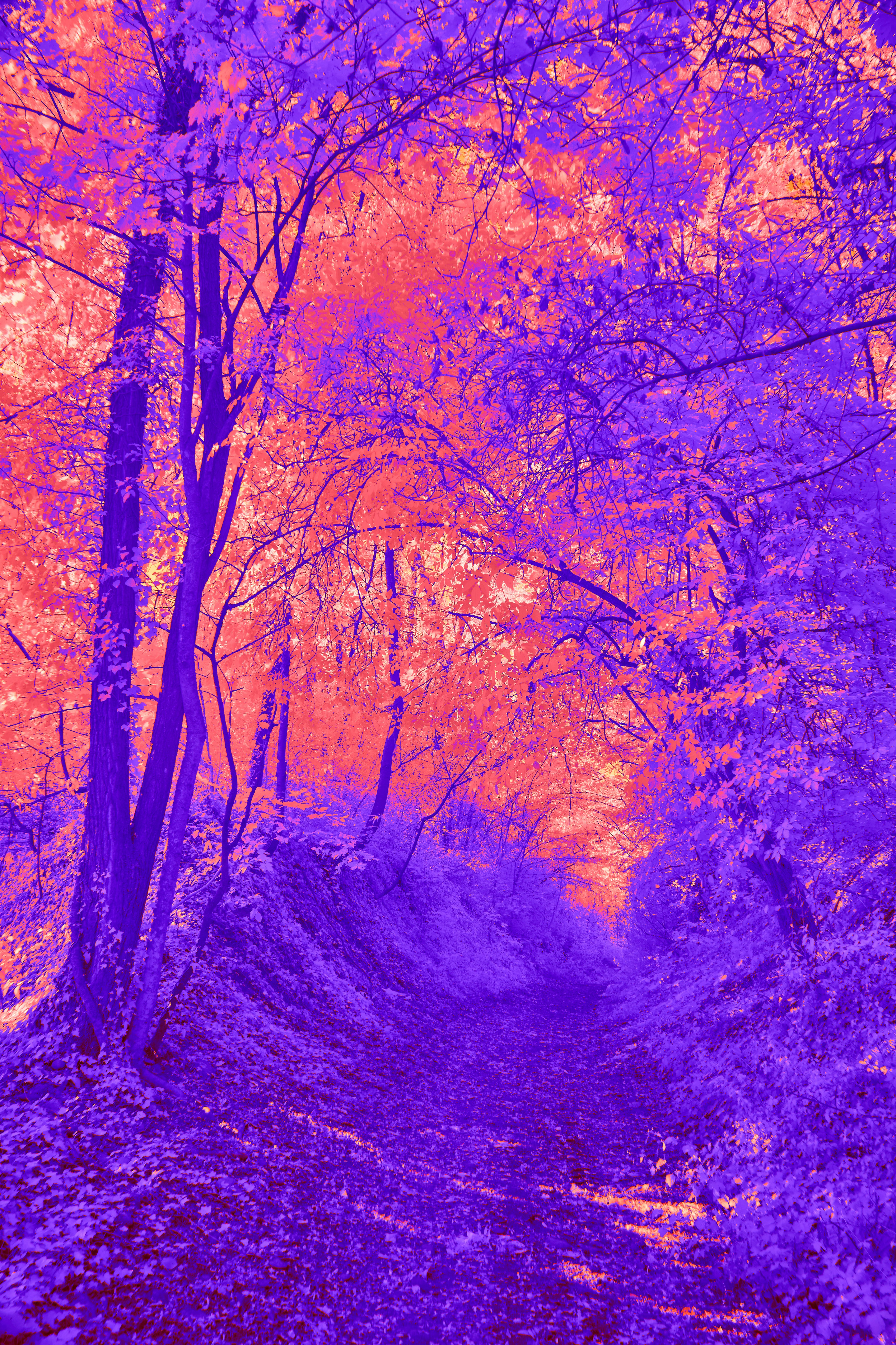 Photo by wolfgang_hasselmann