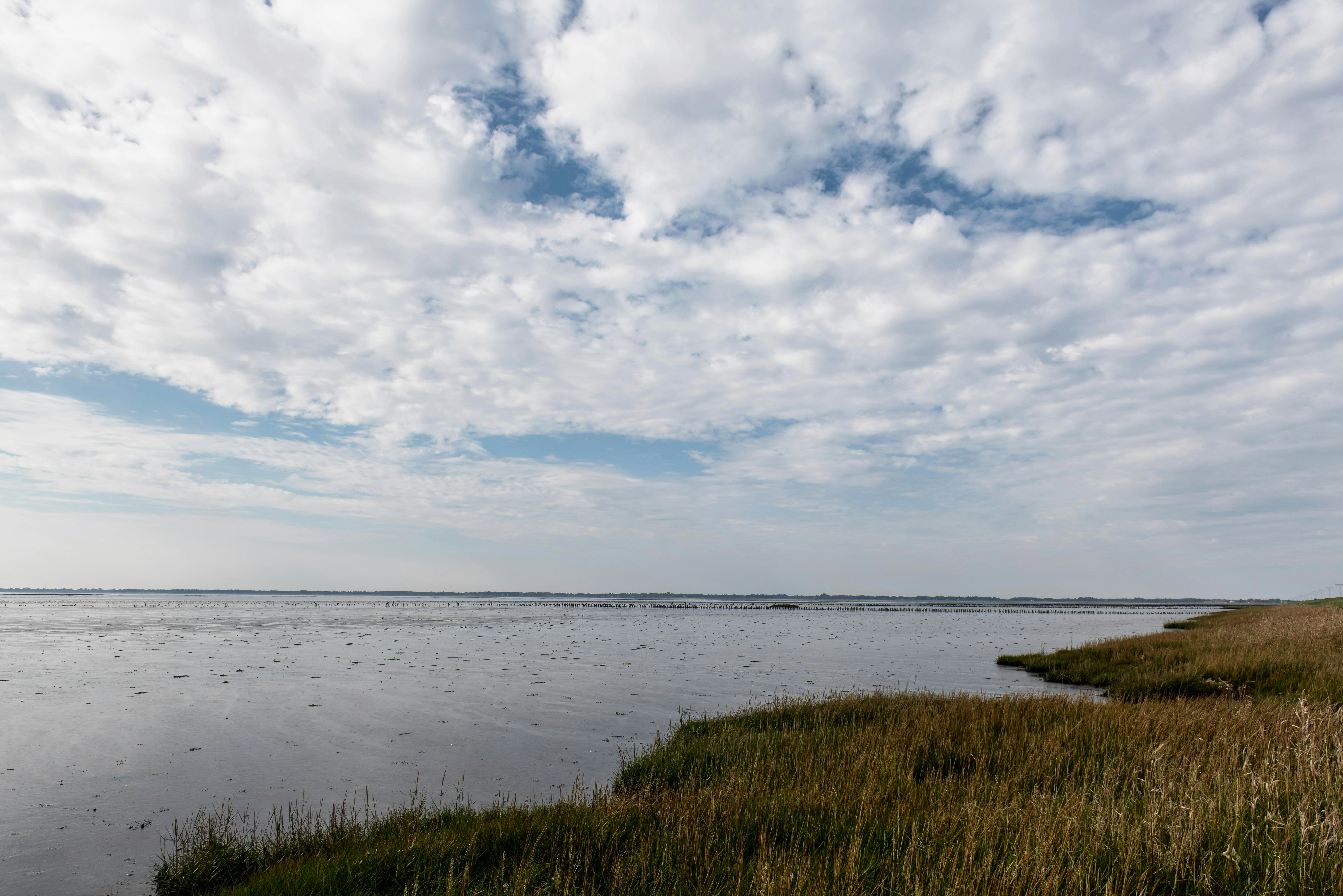 Photo by hamburgmeinefreundin