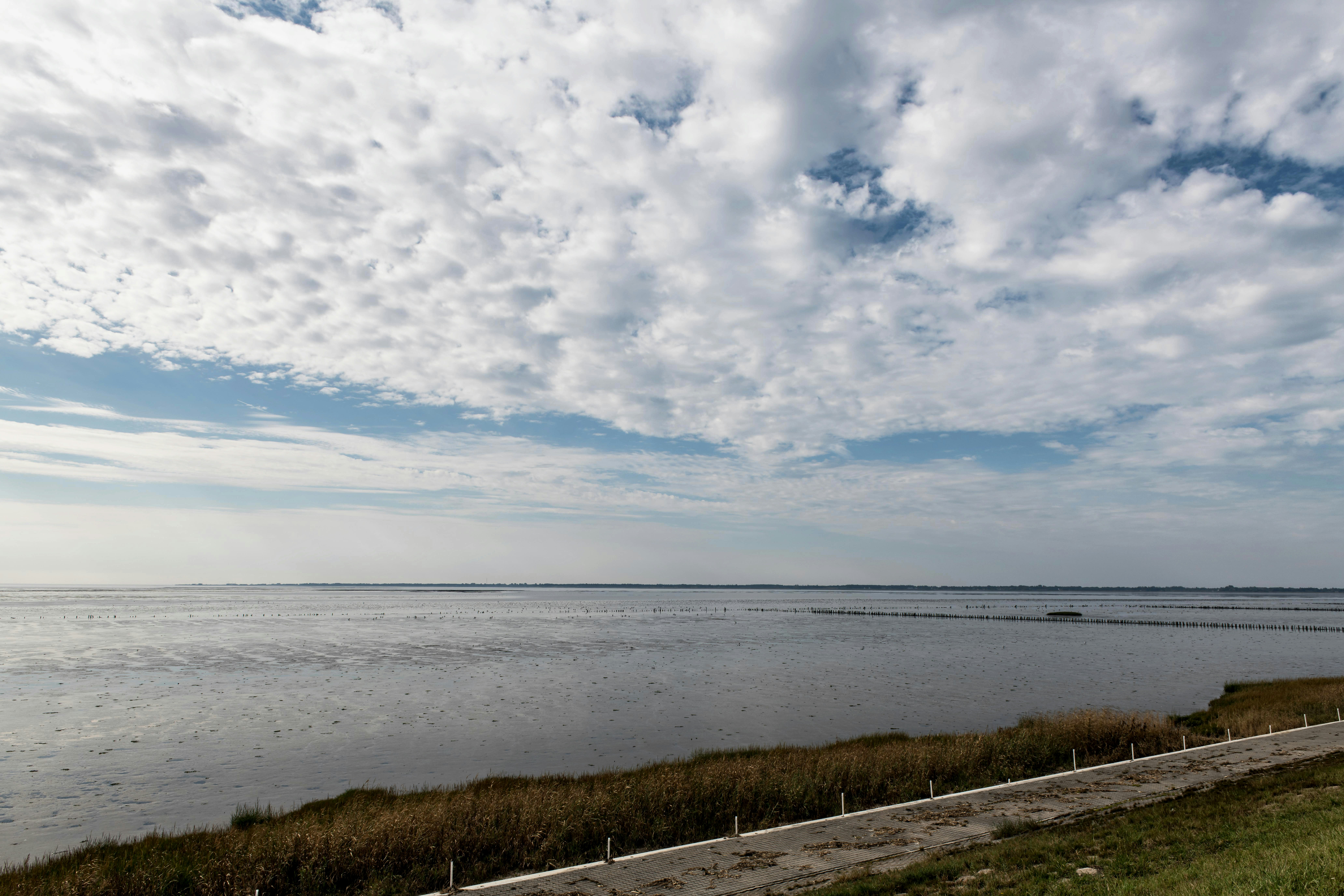 Photo by hamburgmeinefreundin