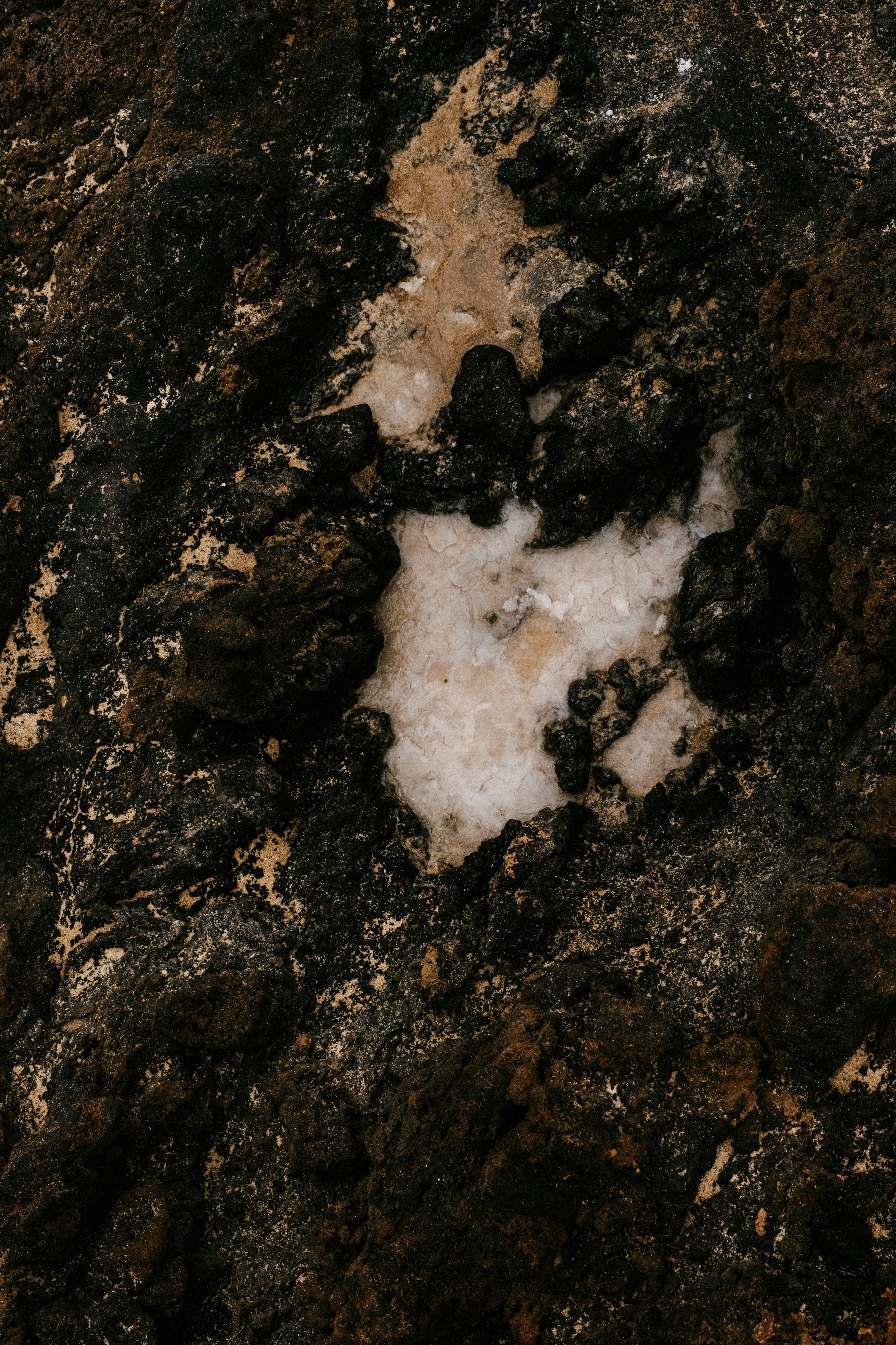 A close up of a rock with a white substance on it