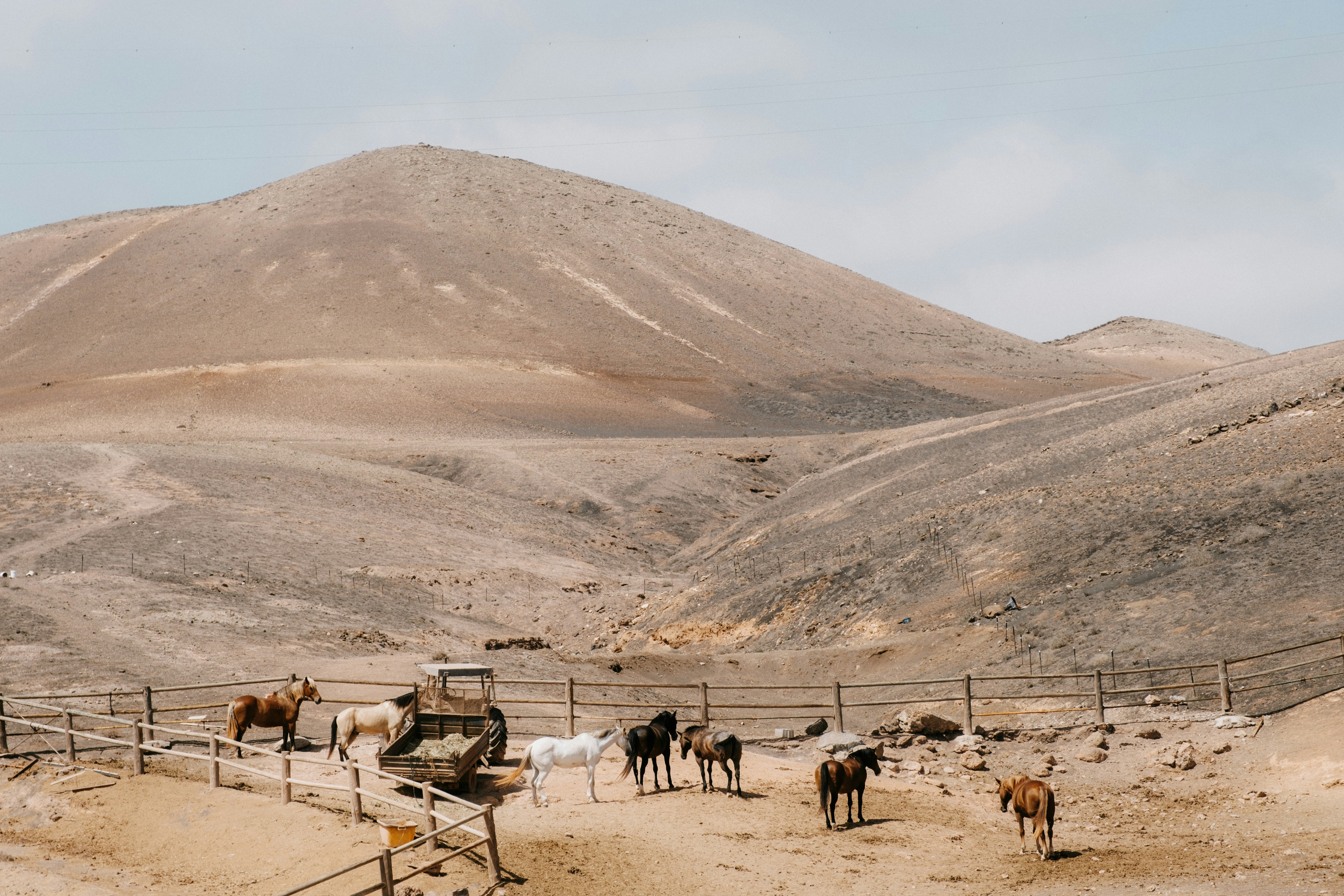 검역법에서 말하는 검역관리지역이란 무엇인가요?