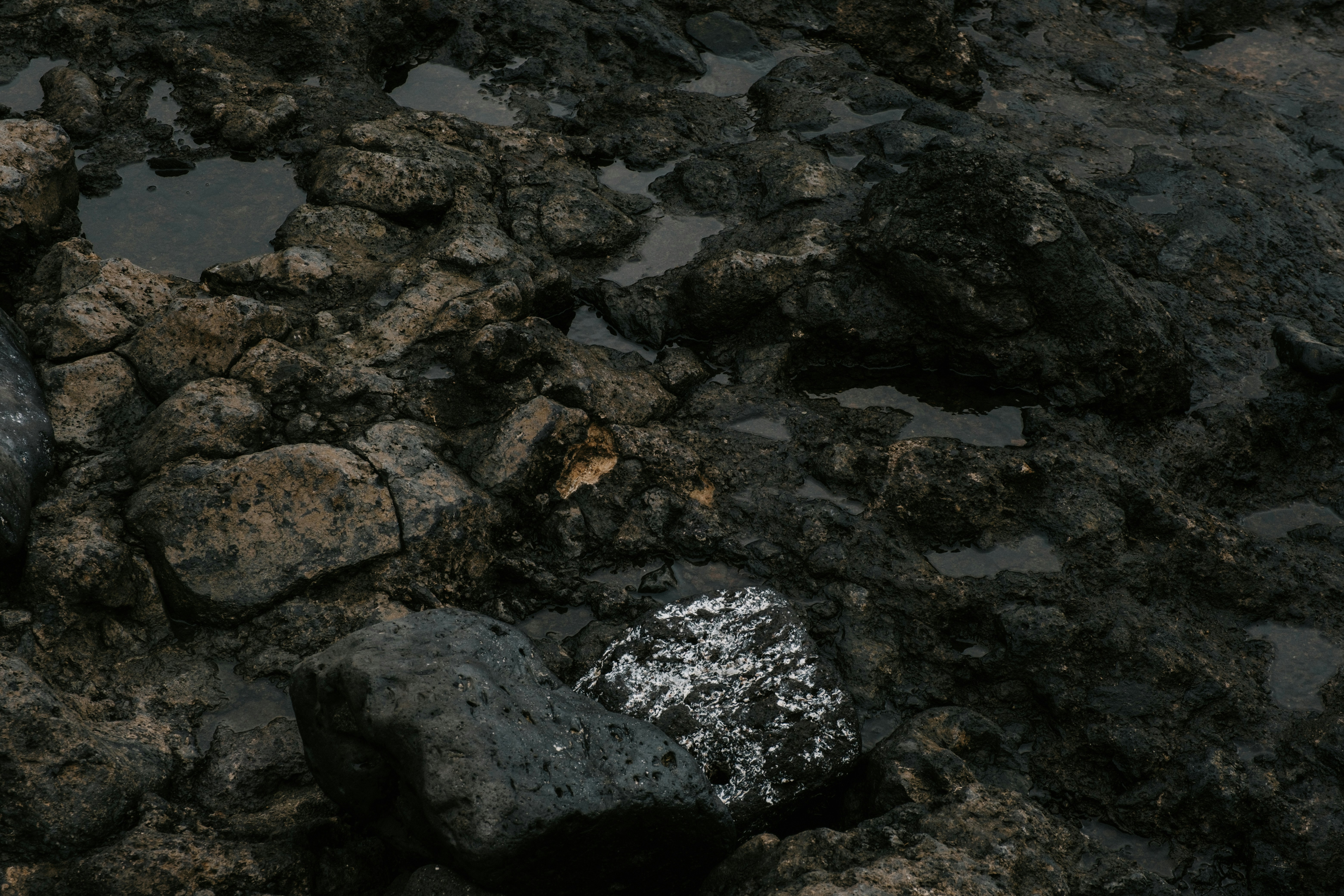A white object sitting on top of a pile of rocks