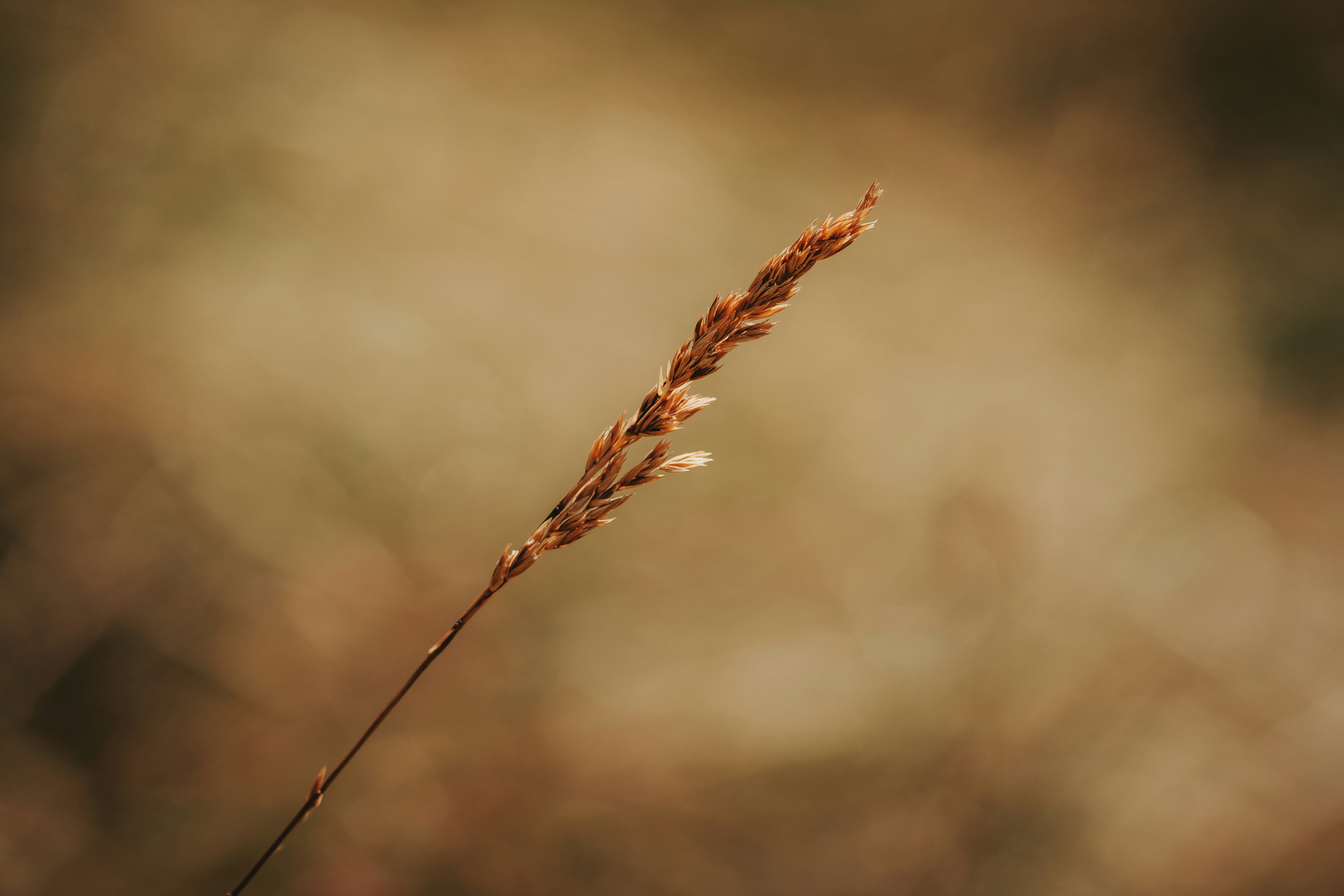 Photo by sinusfiction