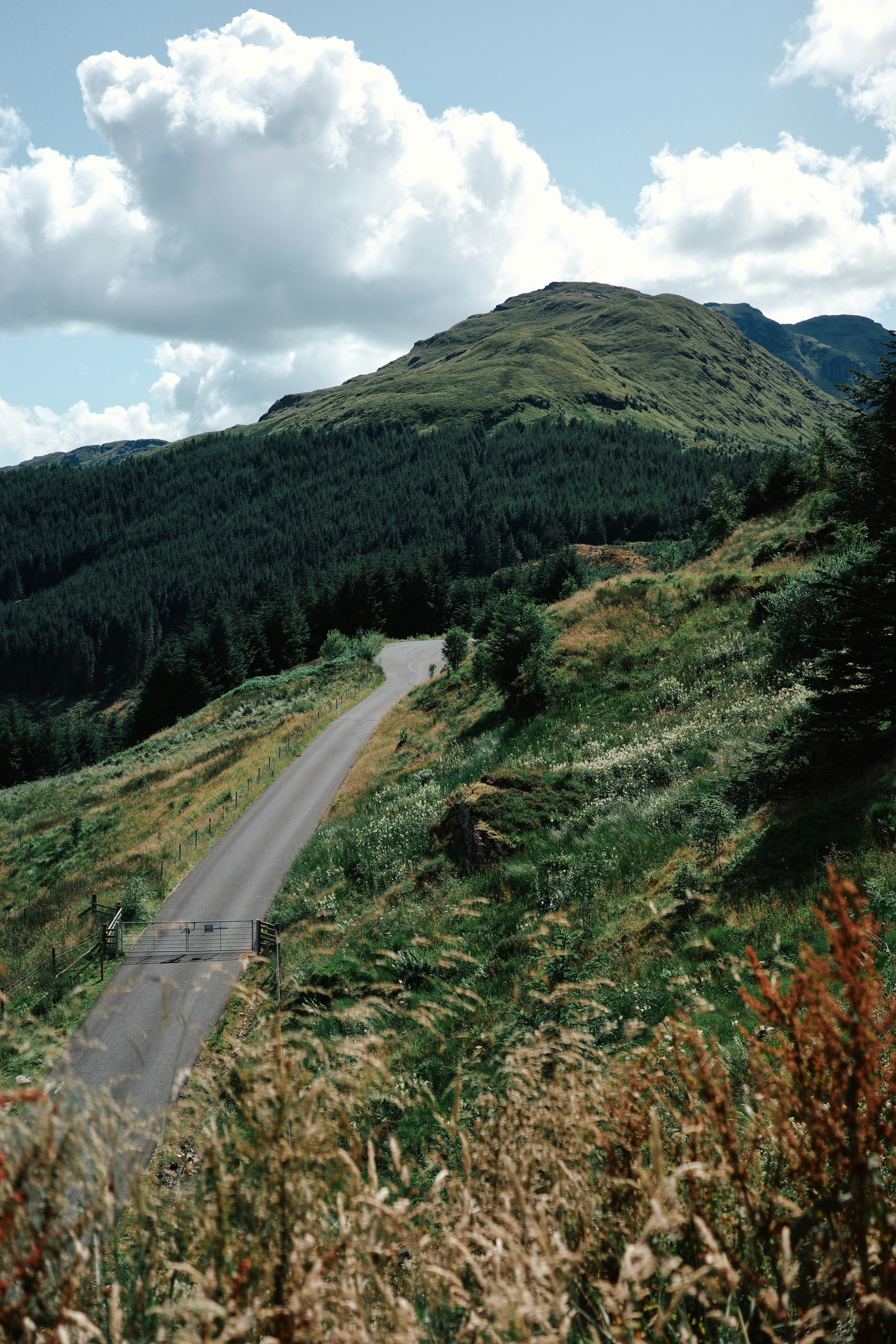 A road going up a hill with a mountain in the background