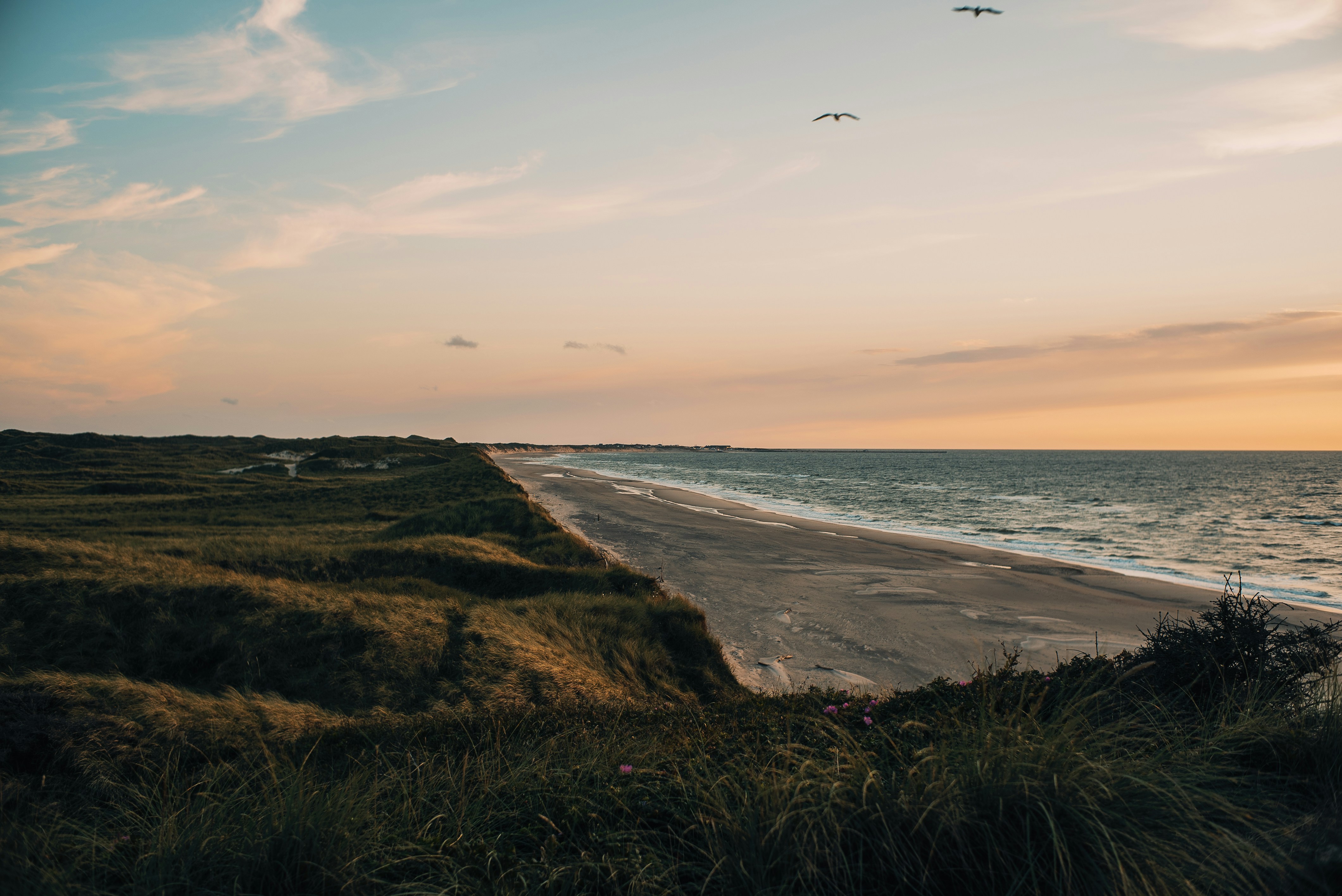 Photo by patrick_von_der_wehd