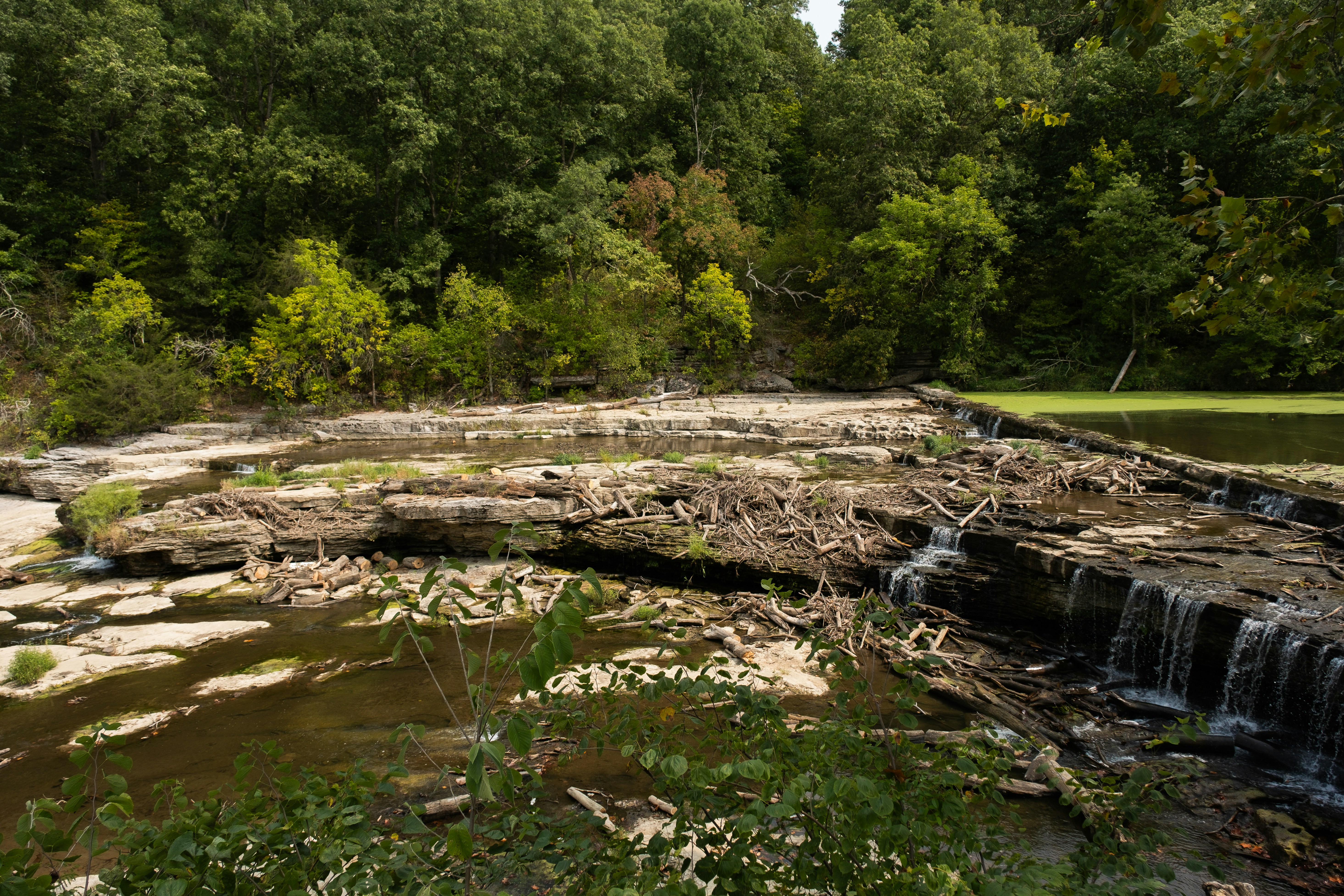 소액 투자로 휴게소 인근 상권 노리기