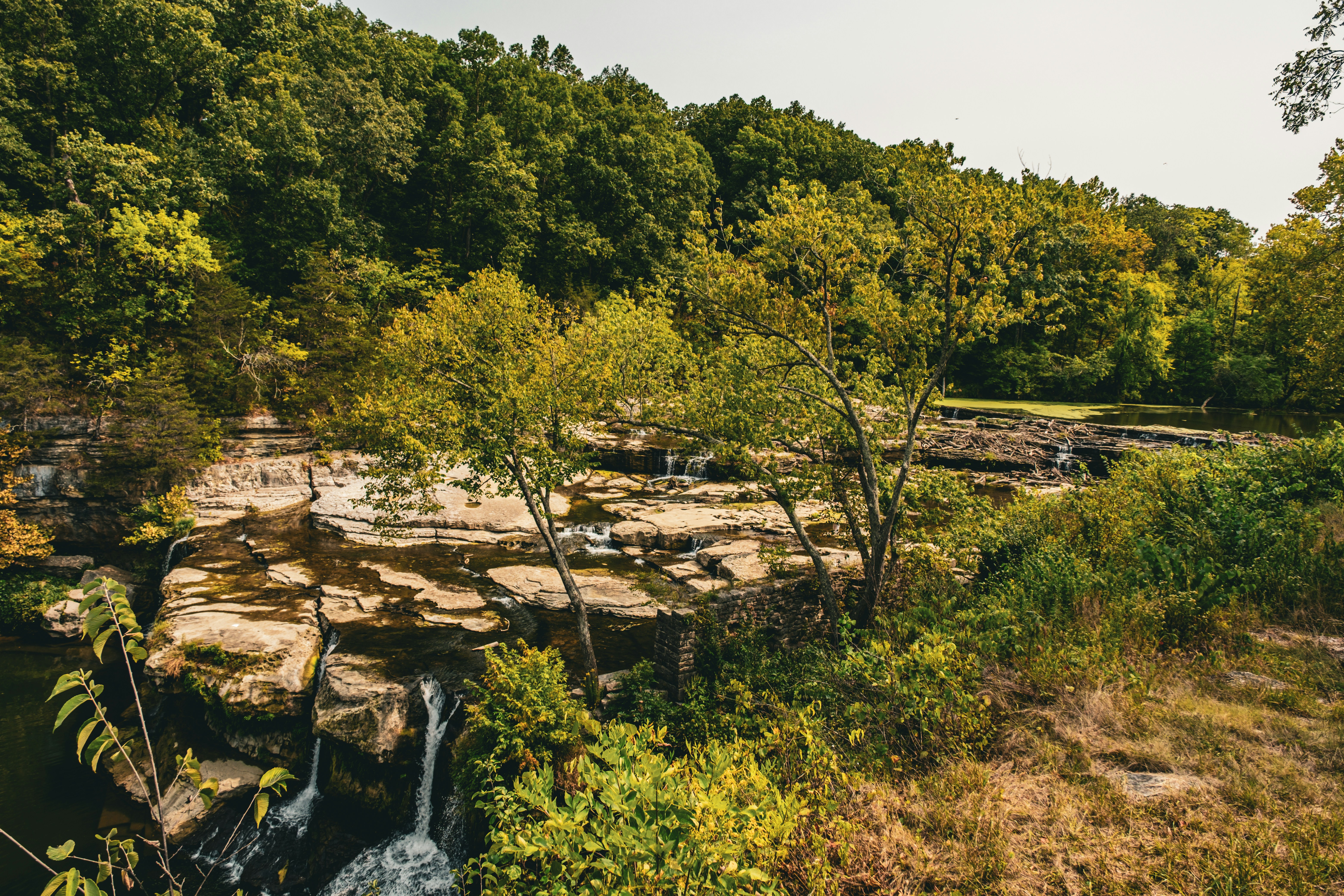 Props and State in Functional Components