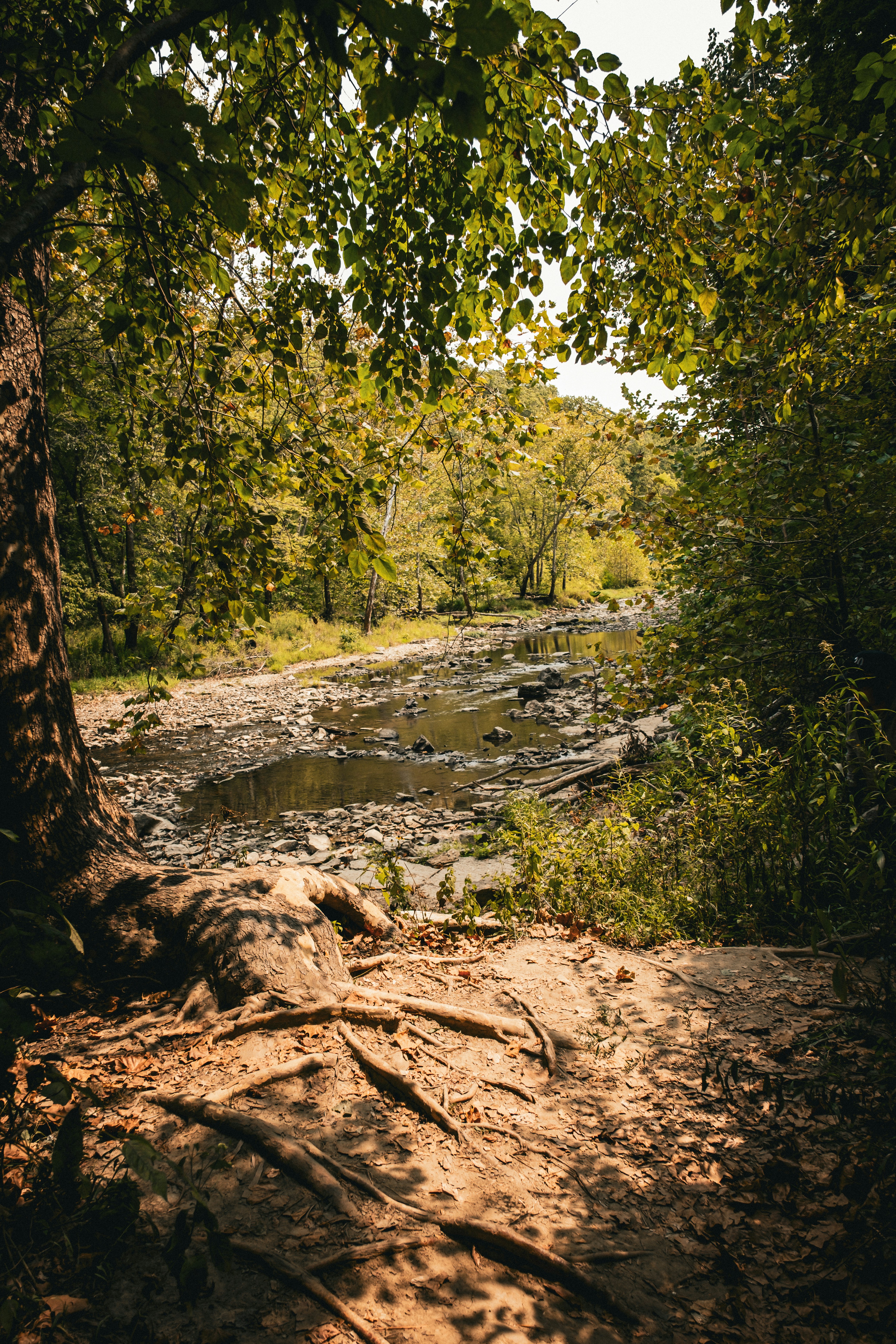 wilderness