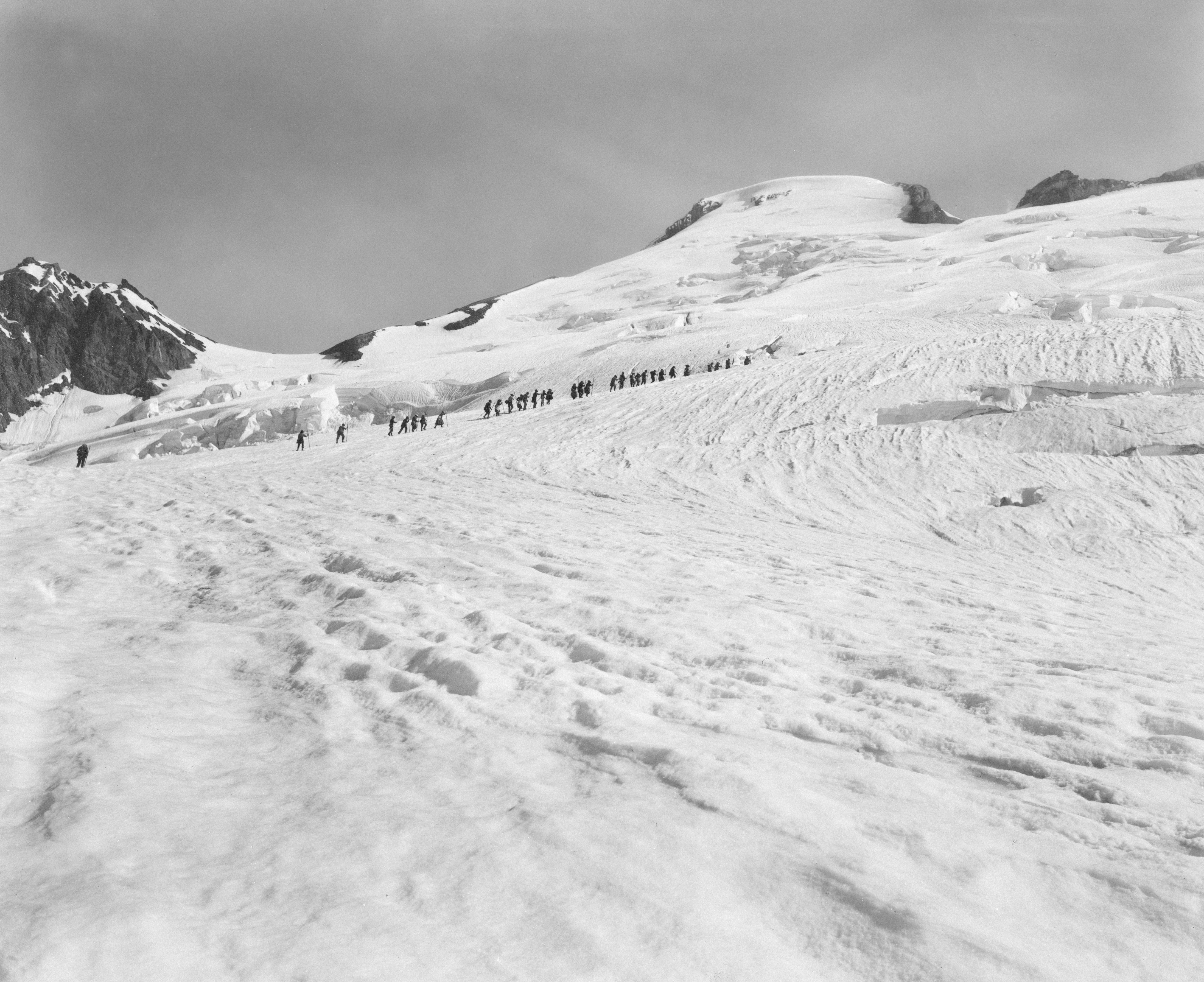 Photo by oregonstateuni