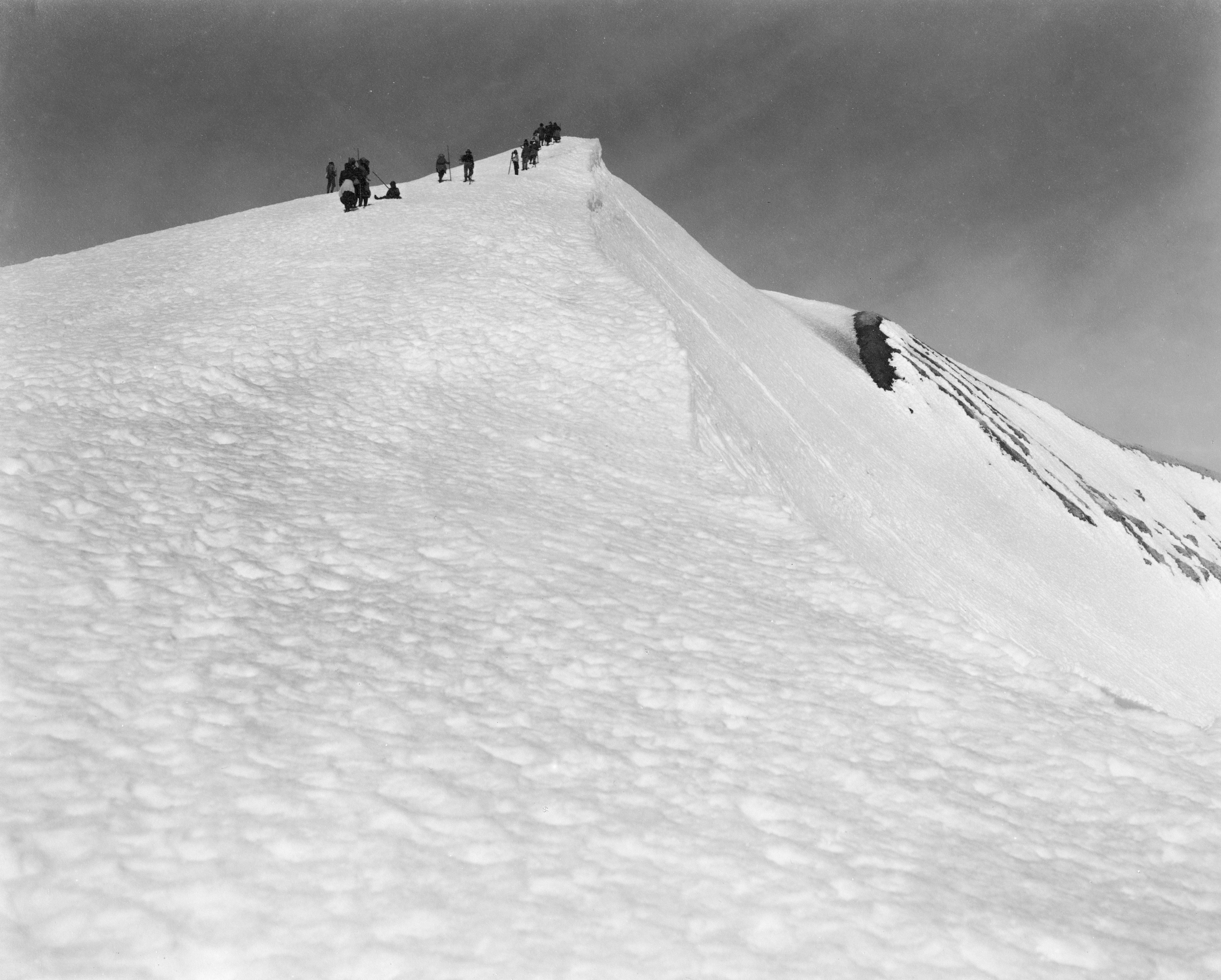 Photo by oregonstateuni