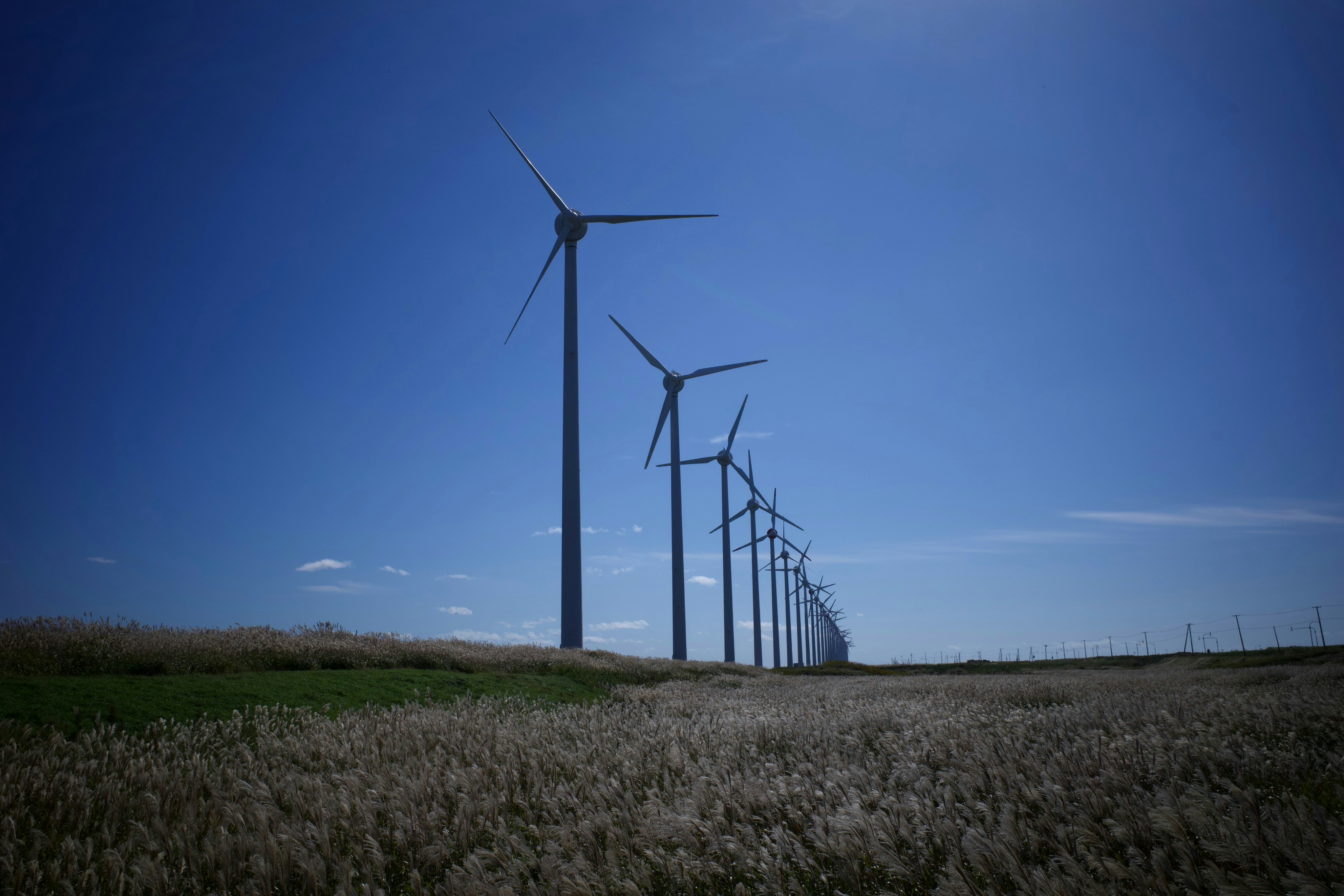 Photo by hotakasaito