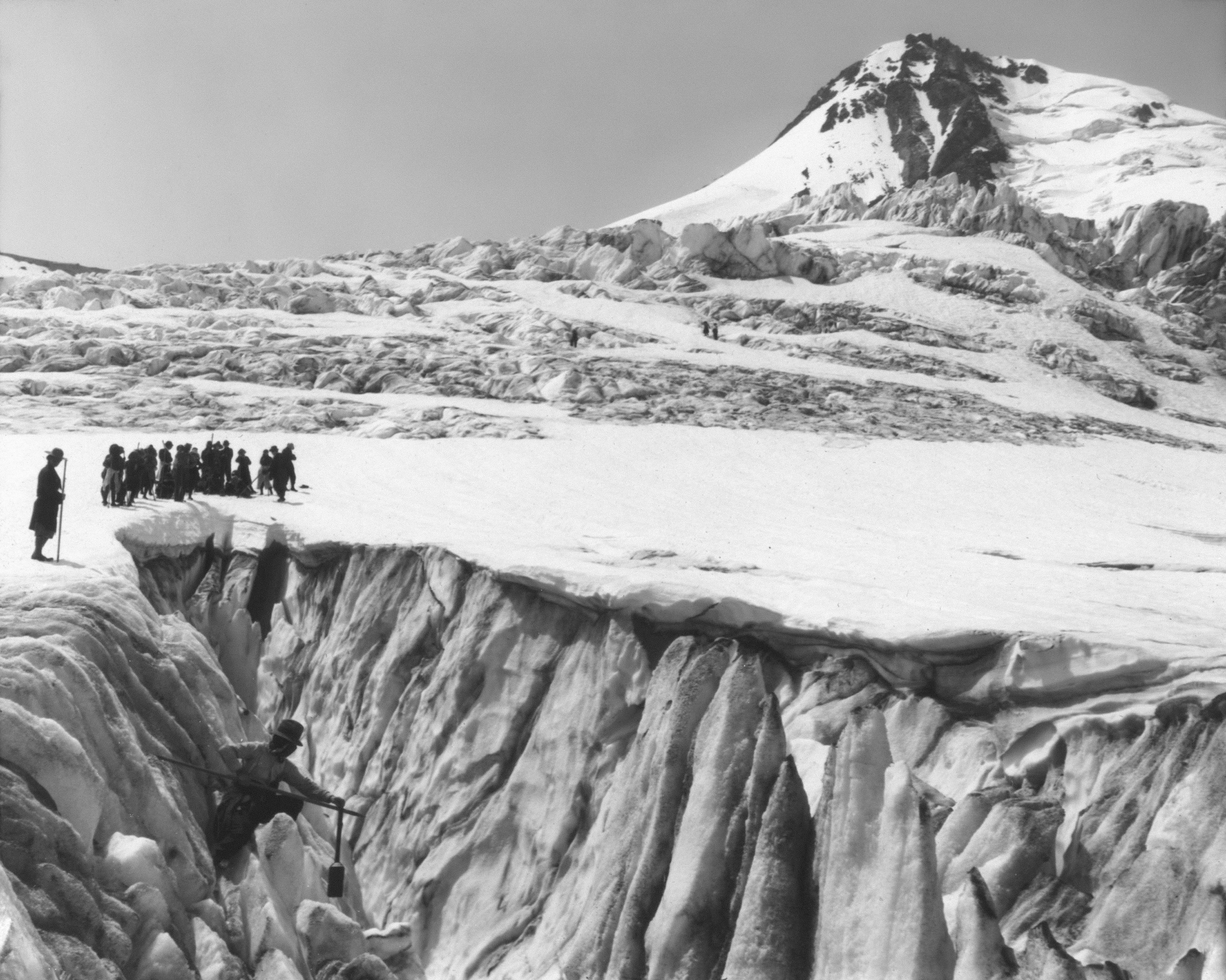 Photo by oregonstateuni