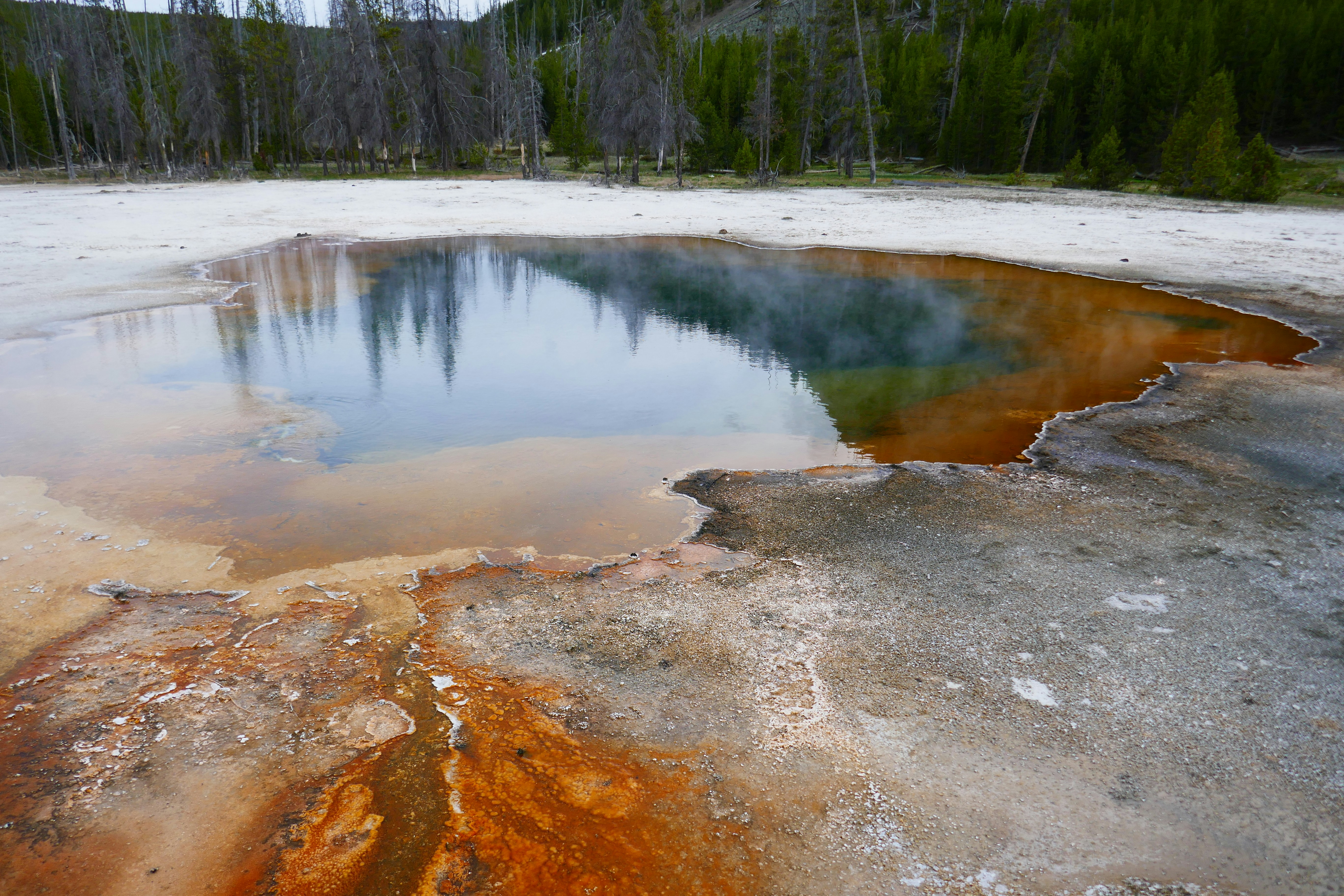 The Role of Microbes in Yellowstone’s Ecosystem (image credits: unsplash)