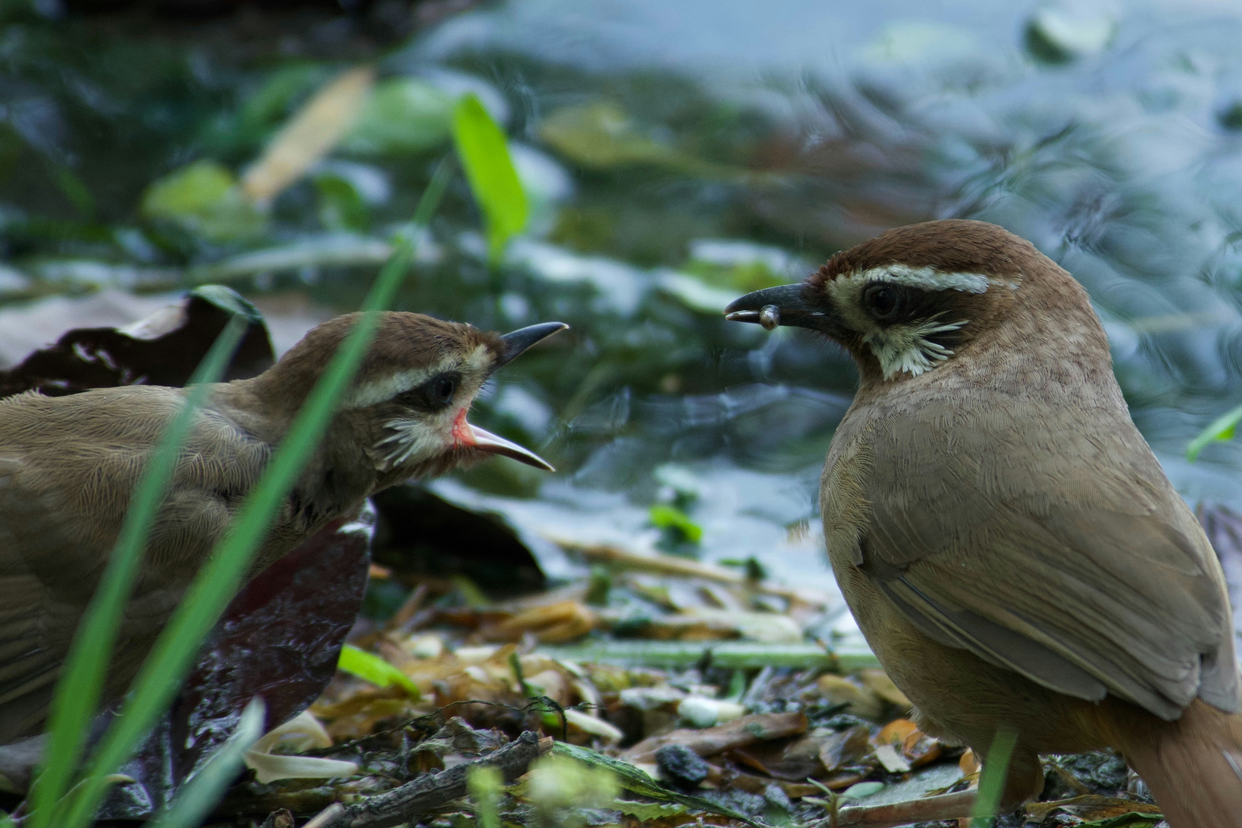 Photo by briadorothy