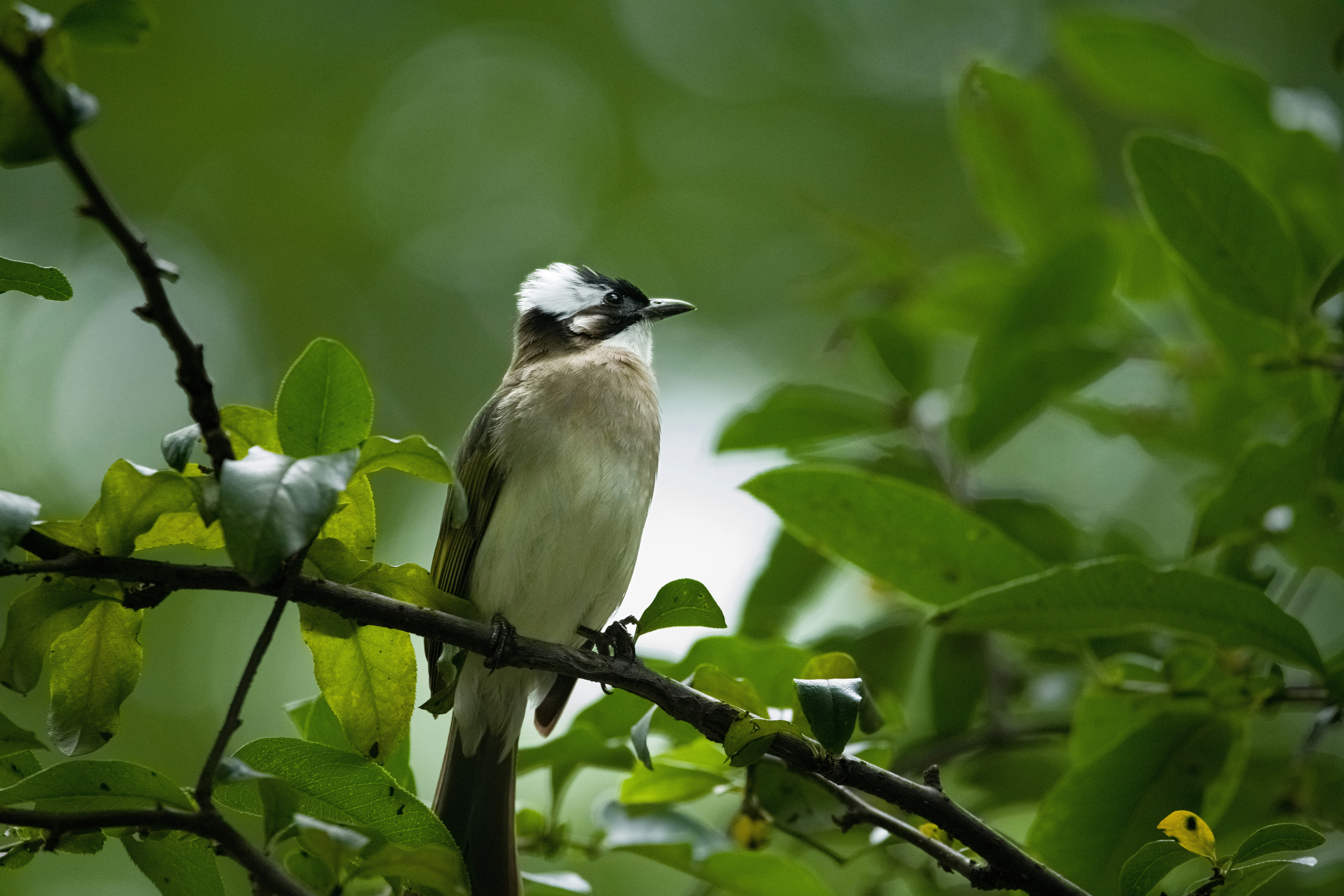 Photo by briadorothy