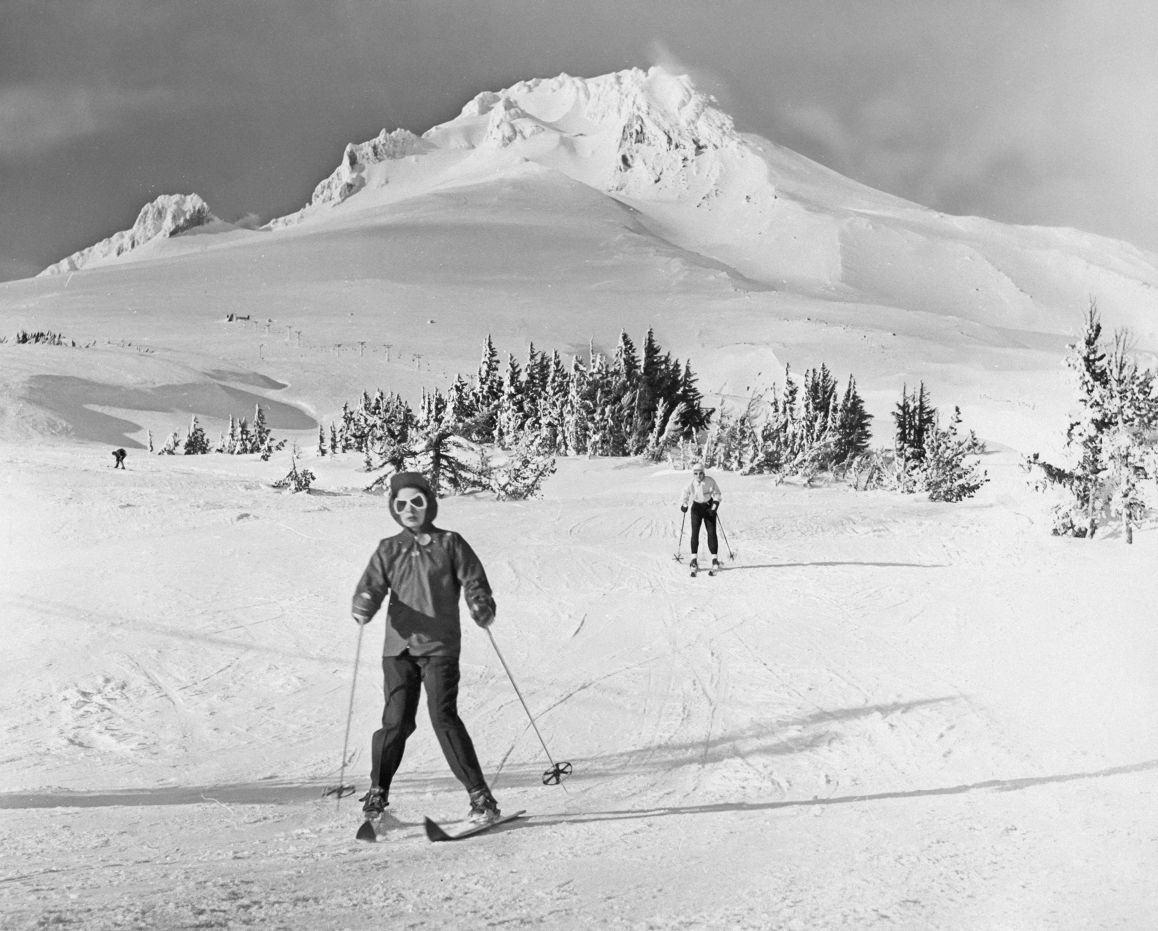 Photo by oregonstateuni