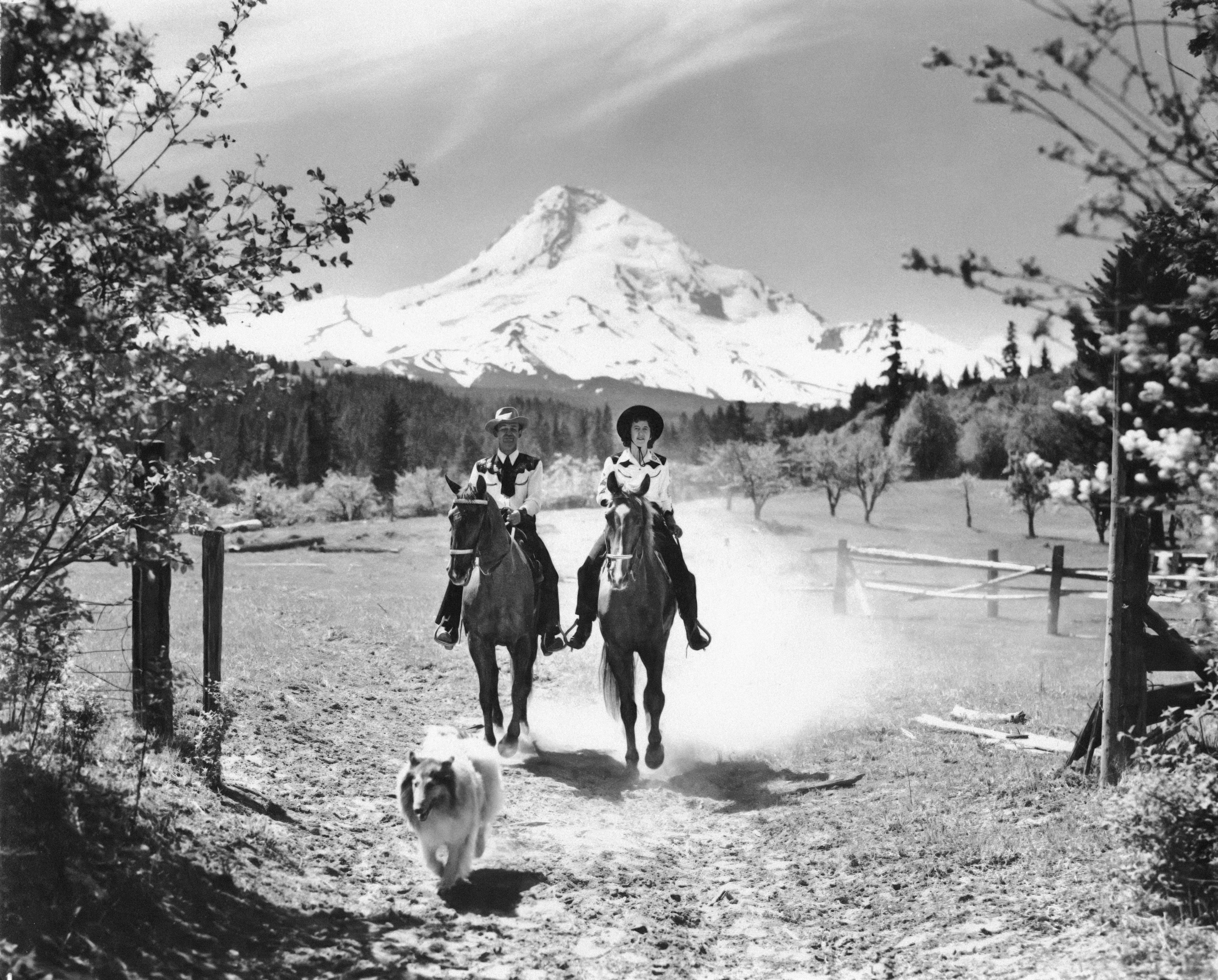 Man and woman on horseback with dog running in front of them Original Collection: Gifford Photographic Collection Item Number: P 218 SG 6 Series 1